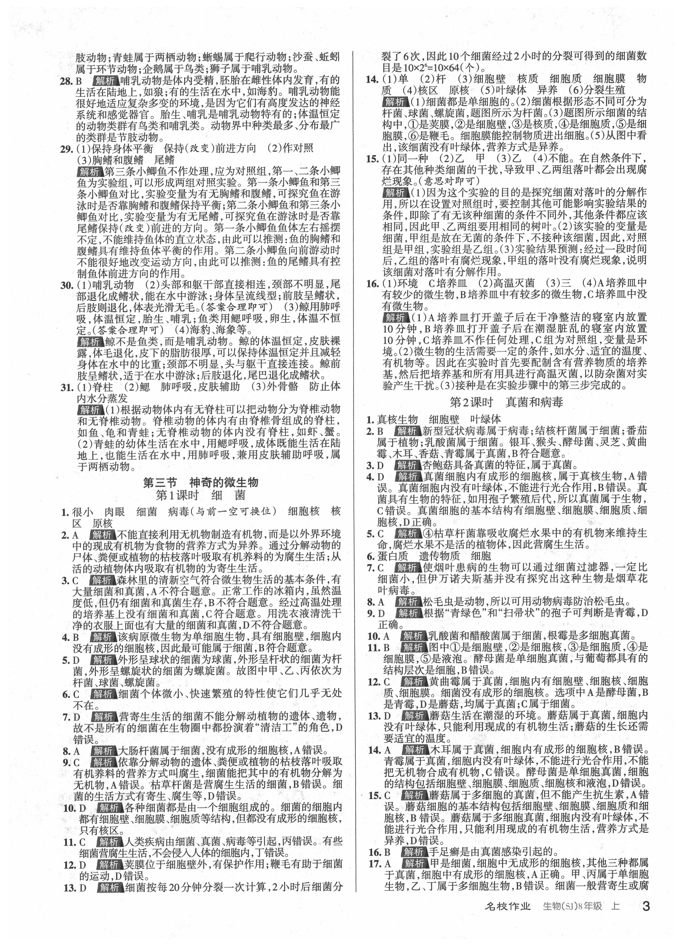 2021年名校作業(yè)八年級生物上冊蘇教版山西專版 參考答案第3頁