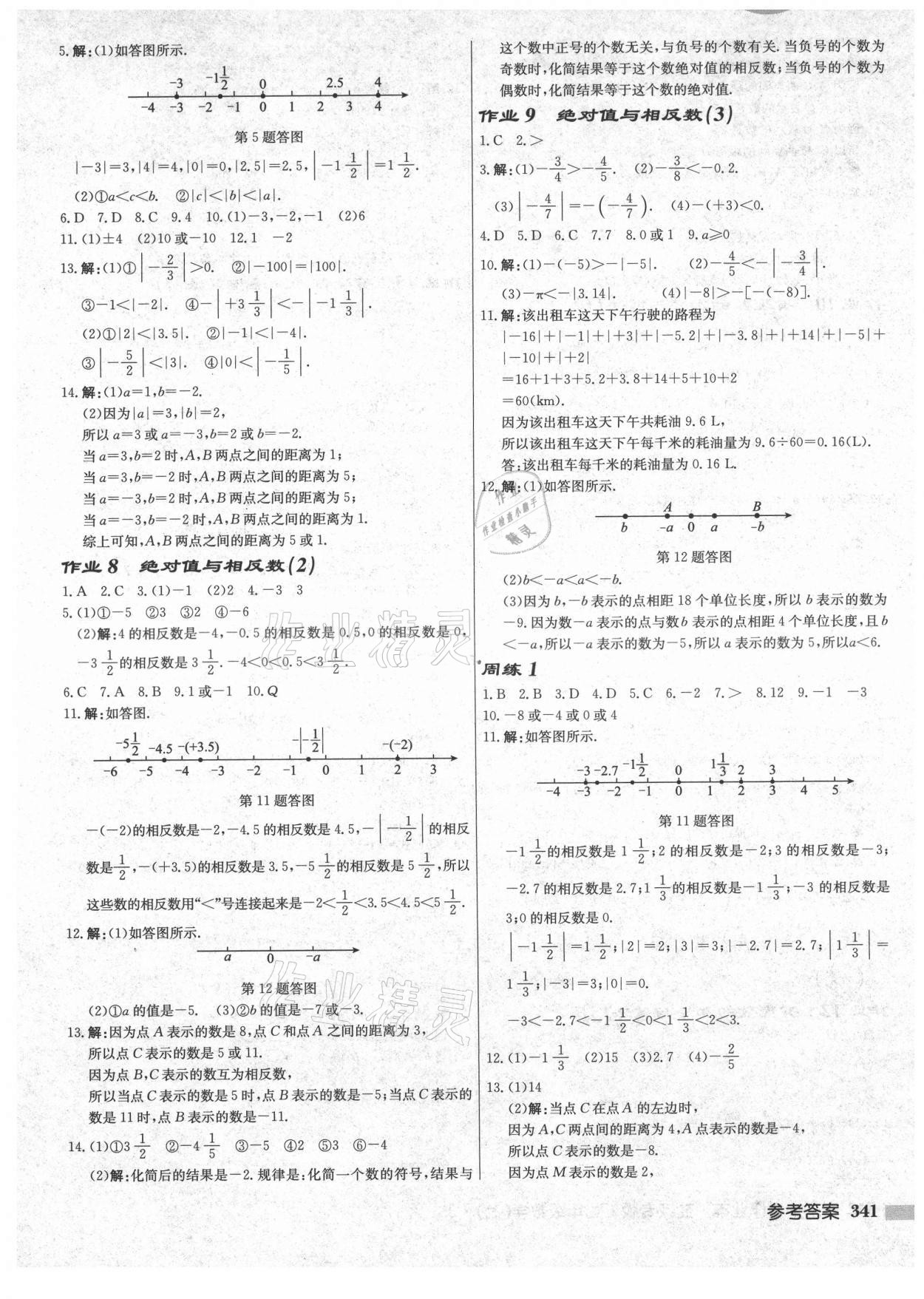 2021年启东中学作业本七年级数学上册苏科版盐城专版 第3页