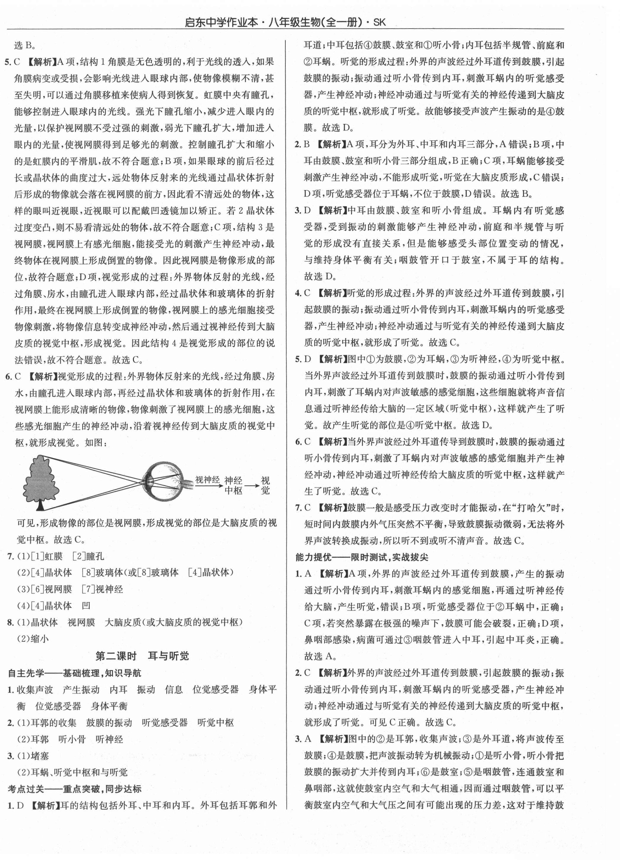 2021年啟東中學(xué)作業(yè)本八年級生物全一冊蘇科版 第12頁