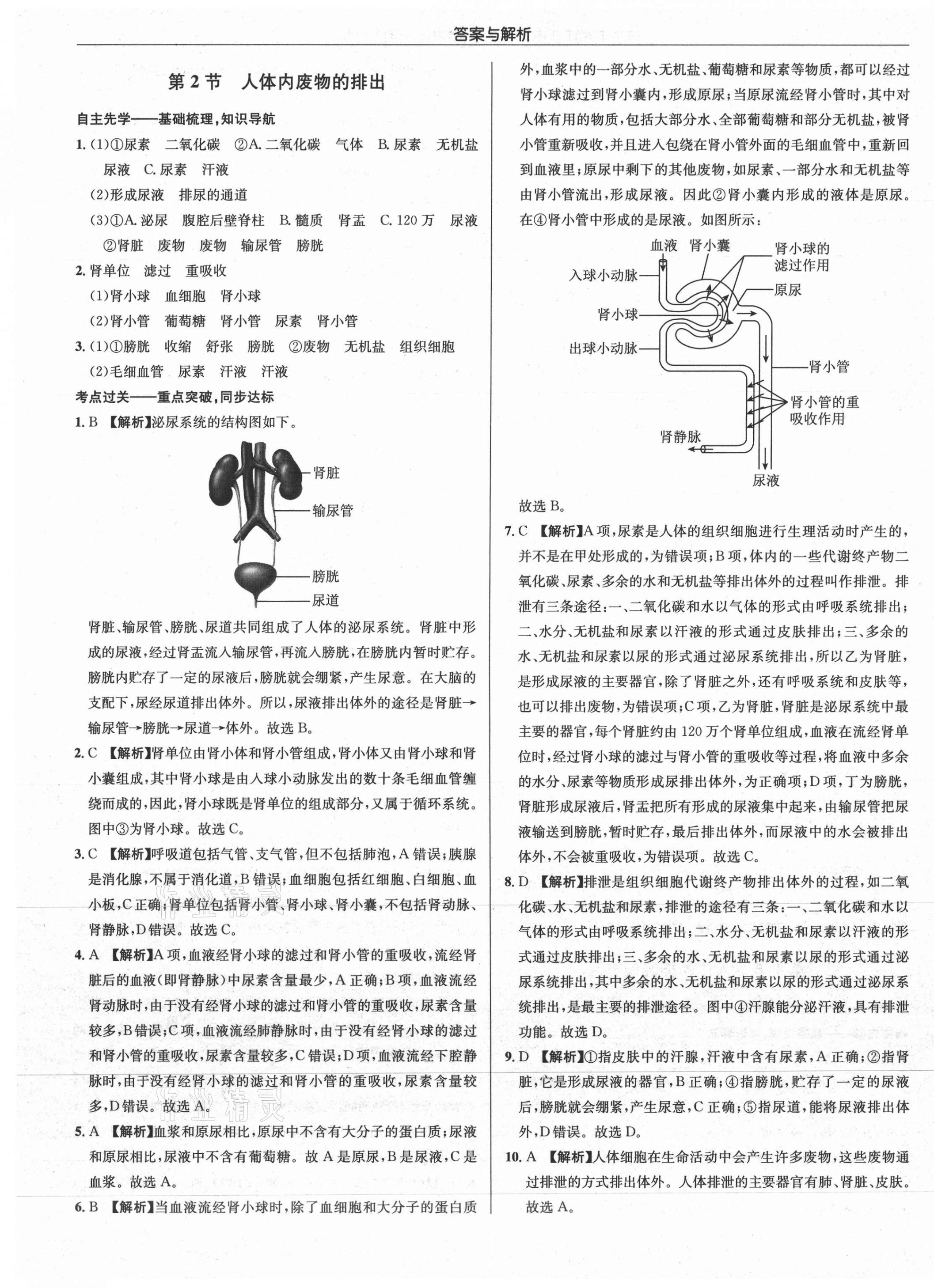 2021年啟東中學(xué)作業(yè)本八年級(jí)生物全一冊(cè)蘇科版 第5頁