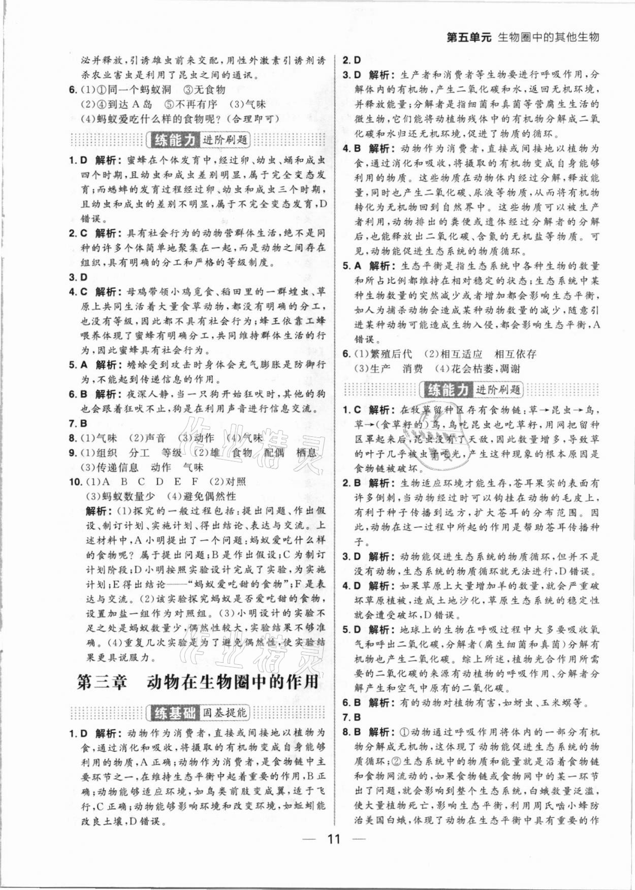 2021年練出好成績(jī)八年級(jí)生物上冊(cè)人教版 參考答案第11頁(yè)