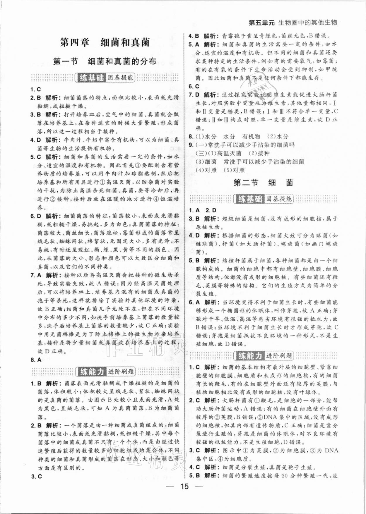 2021年練出好成績(jī)八年級(jí)生物上冊(cè)人教版 參考答案第15頁(yè)