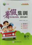 2021年暑假集訓(xùn)二年級(jí)數(shù)學(xué)北師大版合肥工業(yè)大學(xué)出版社