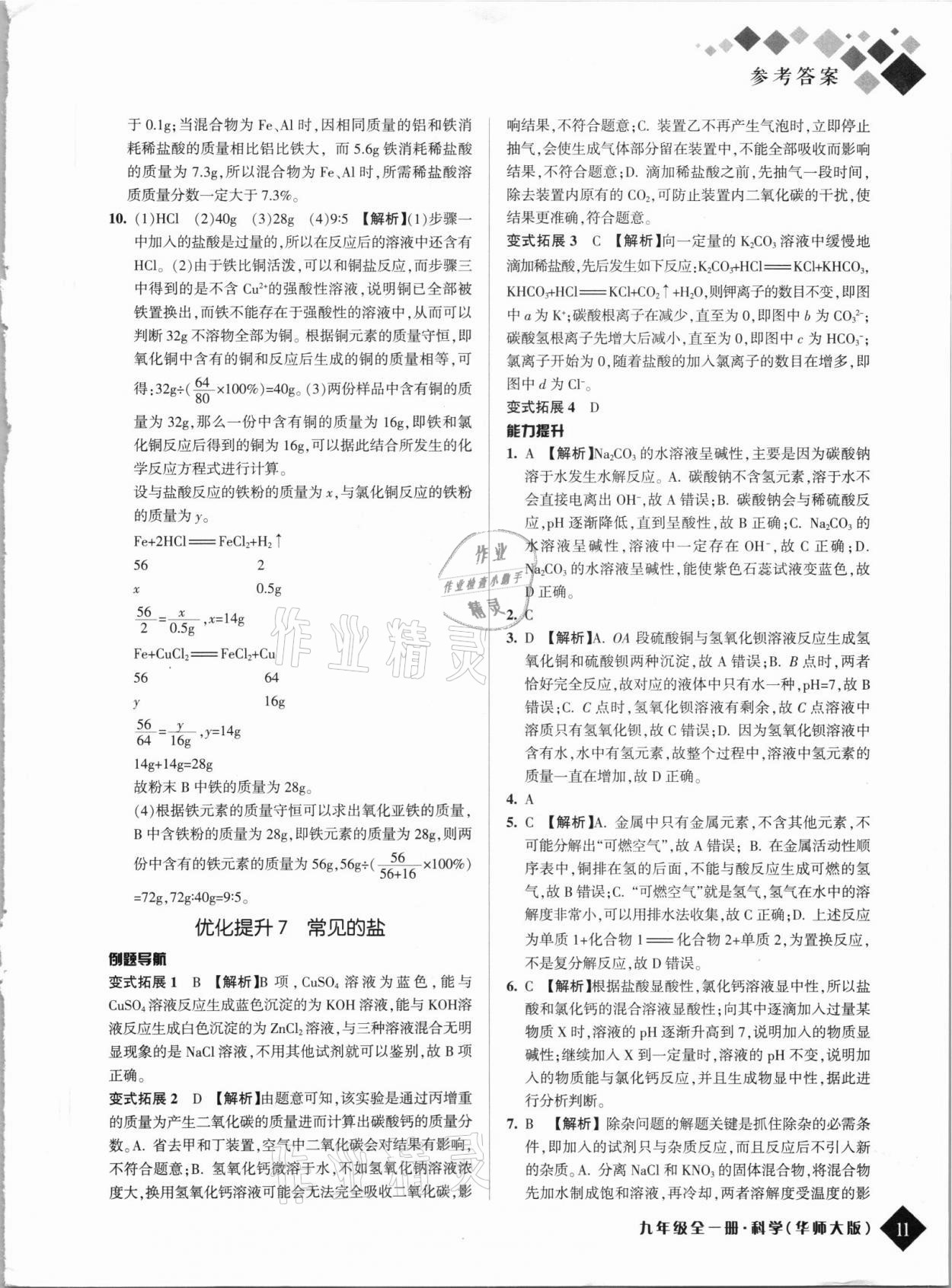 2021年勵耘新培優九年級科學全一冊華師大版 第11頁