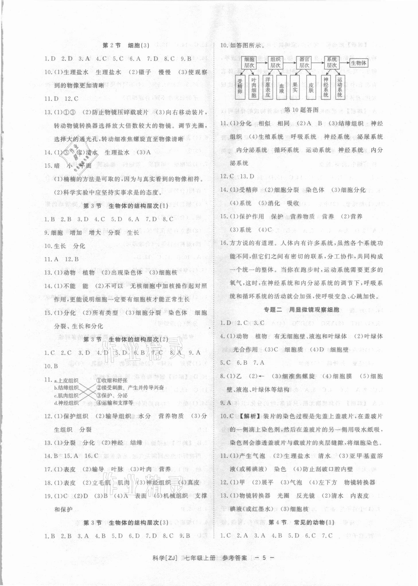 2021年全效學(xué)習(xí)七年級科學(xué)上冊浙教版精華版 參考答案第4頁