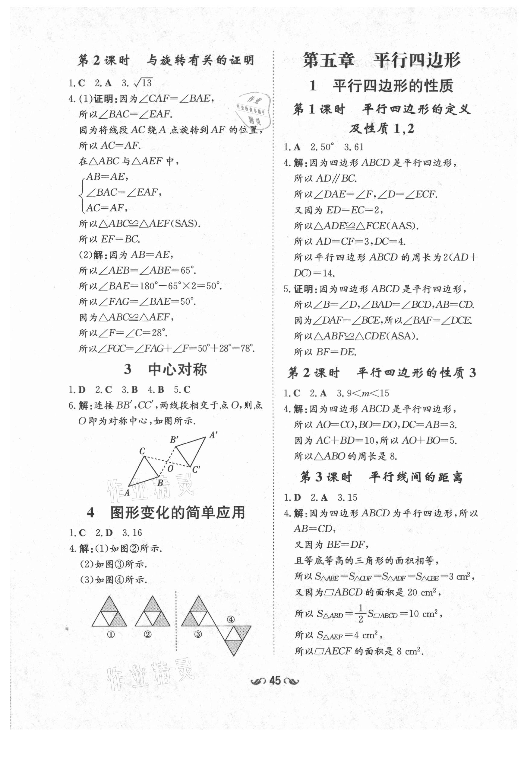 2021年練案課時(shí)作業(yè)本八年級(jí)數(shù)學(xué)上冊(cè)魯教版54制 參考答案第7頁(yè)