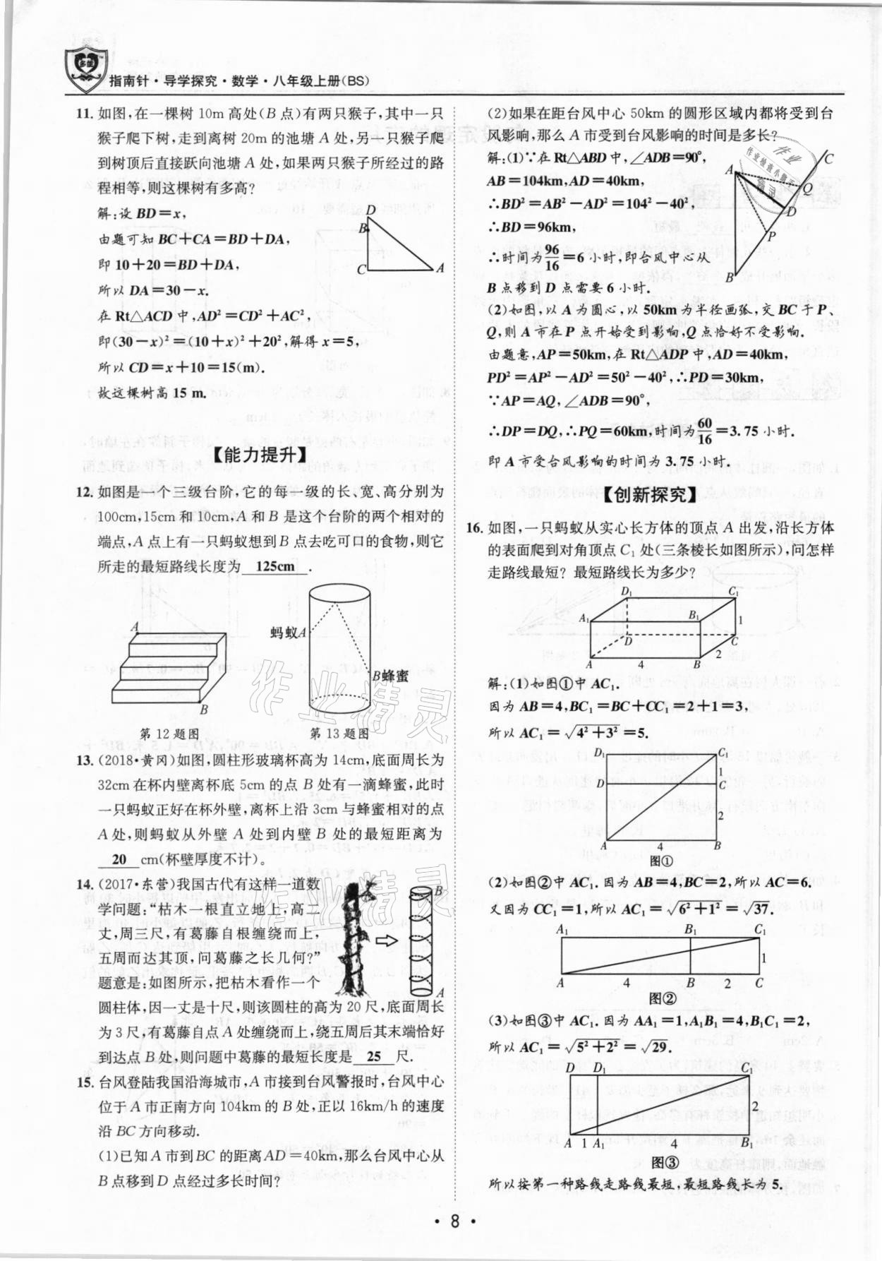 2021年指南針導學探究八年級數(shù)學上冊北師大版 參考答案第8頁