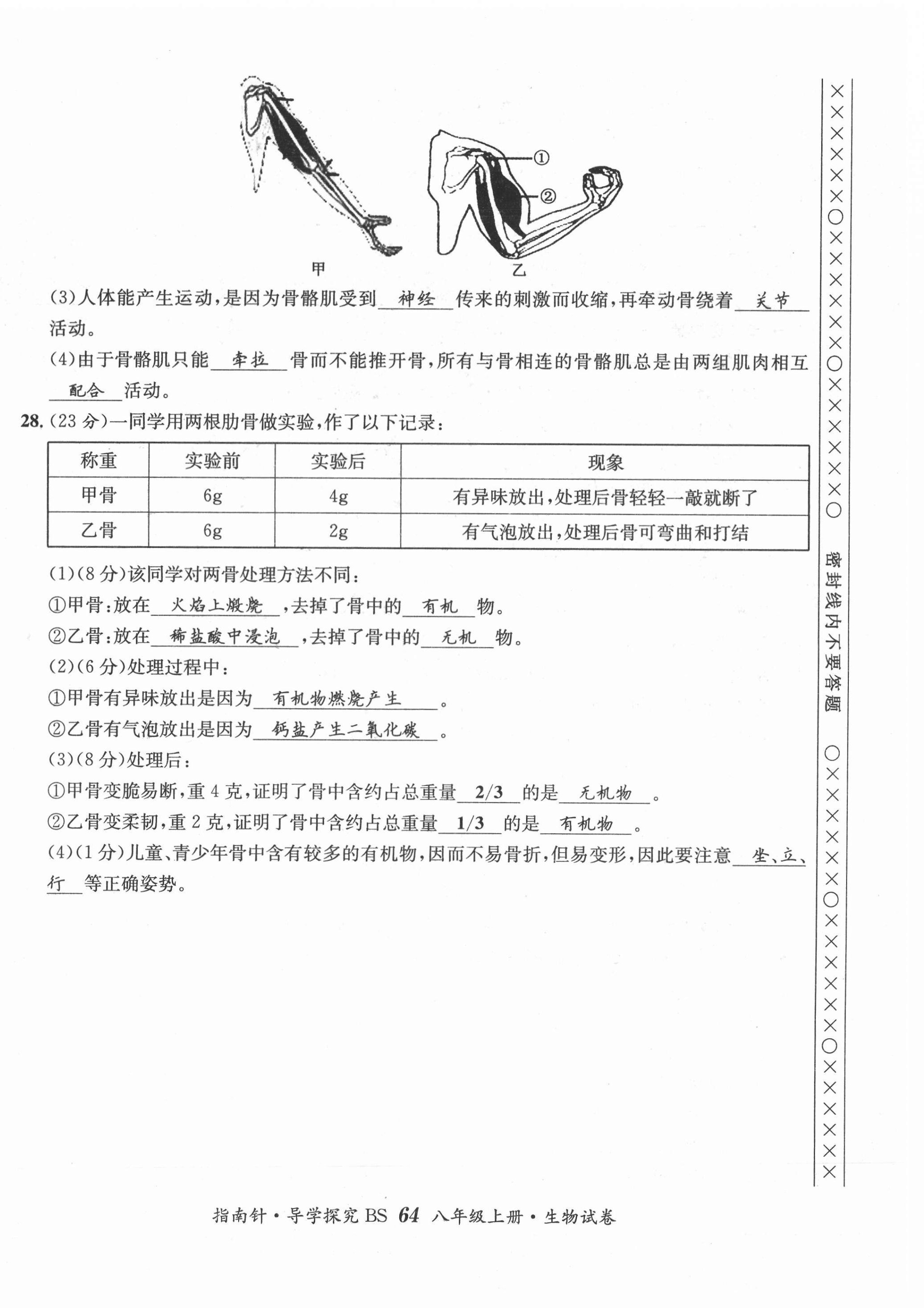 2021年指南針導(dǎo)學(xué)探究八年級生物上冊北師大版 第4頁