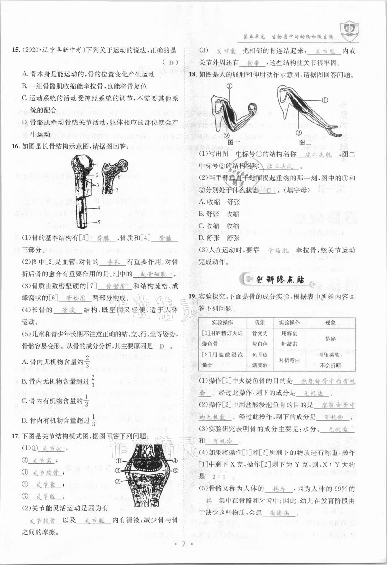 2021年指南針導(dǎo)學(xué)探究八年級(jí)生物上冊(cè)北師大版 參考答案第7頁(yè)