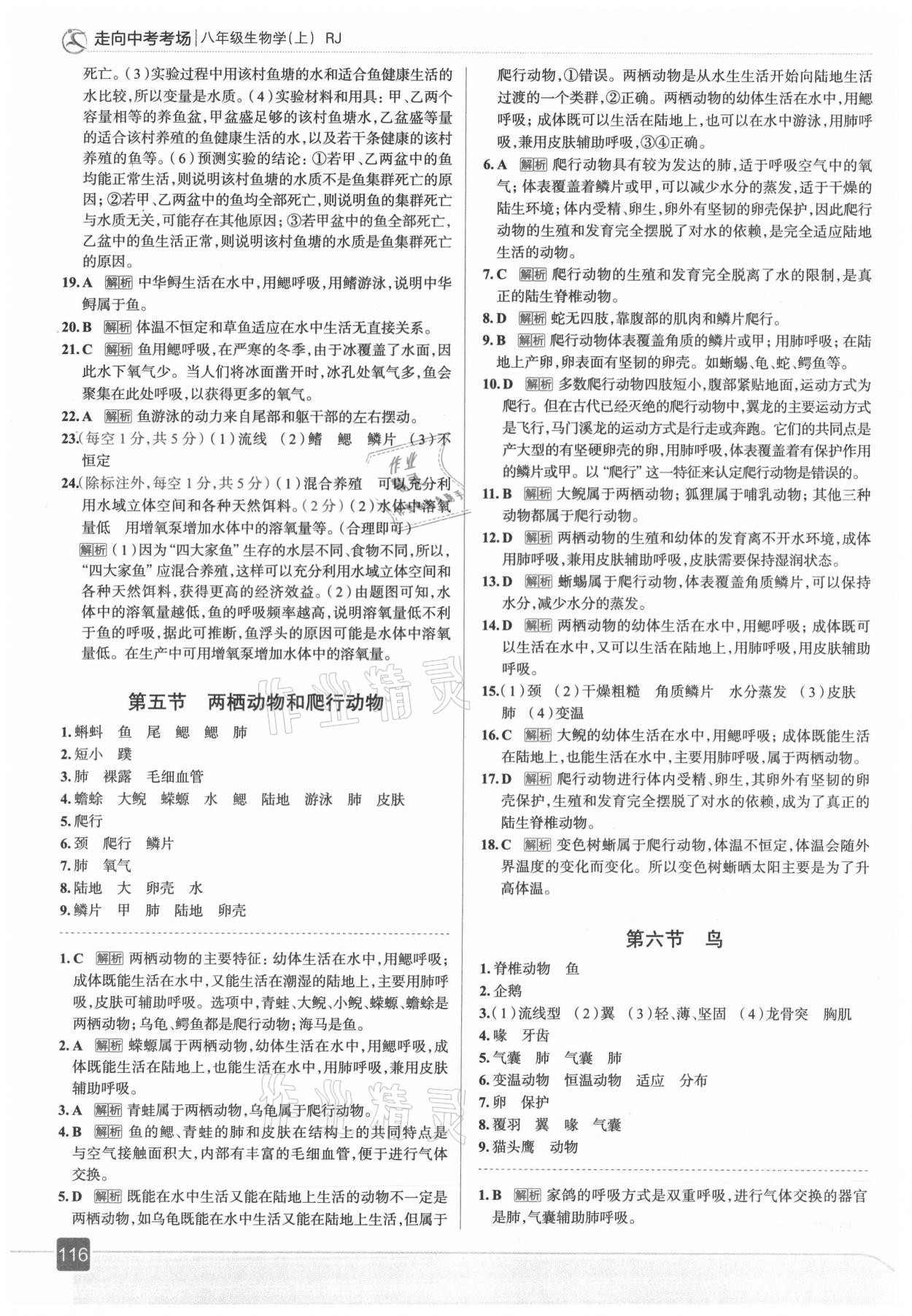 2021年走向中考考場(chǎng)八年級(jí)生物上冊(cè)人教版 第4頁