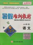 2021年孟建平暑假培訓(xùn)教材小升初語文人教版浙江工商大學(xué)出版社