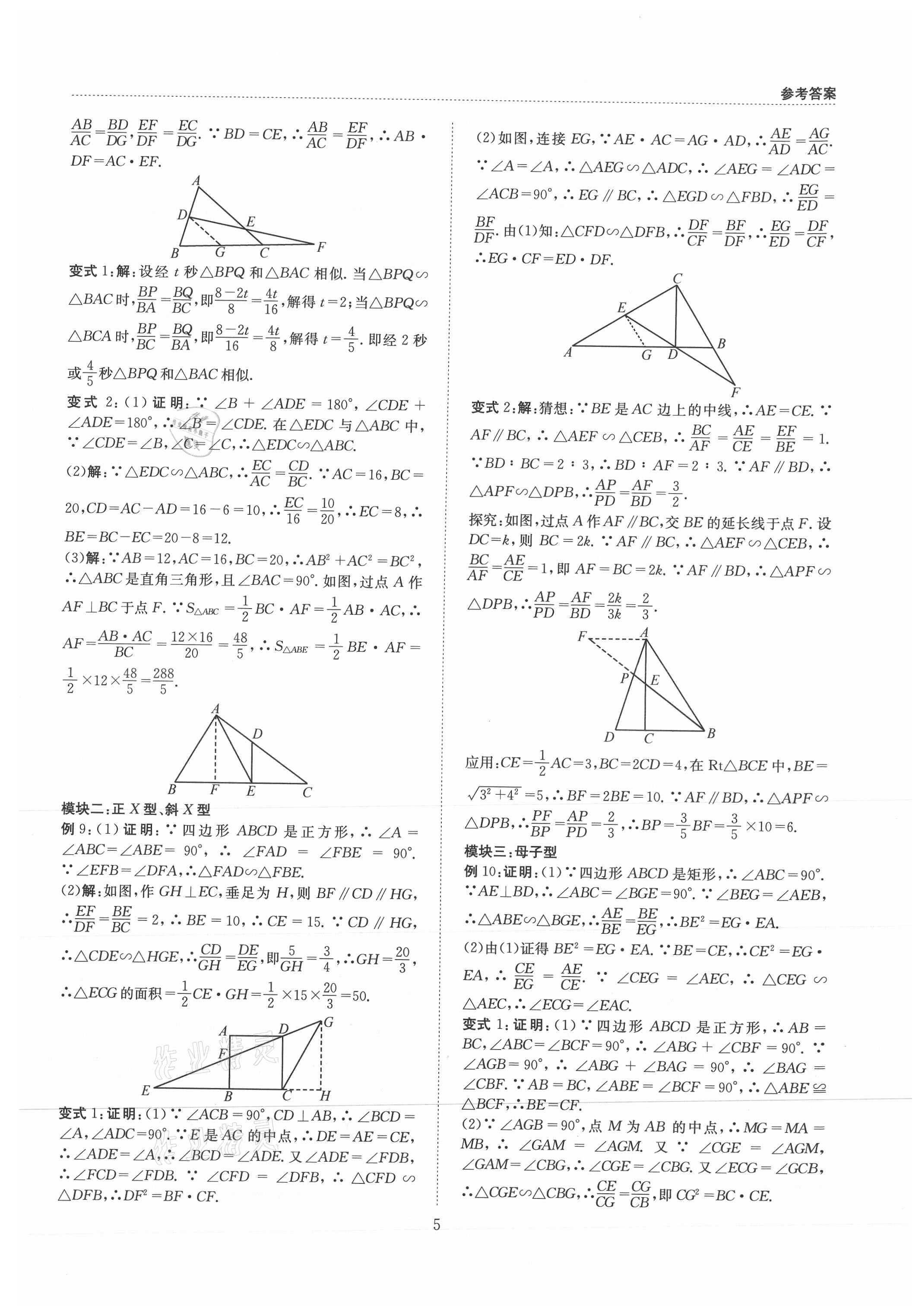 2021年B卷必刷九年級數(shù)學全一冊北師大版 第5頁