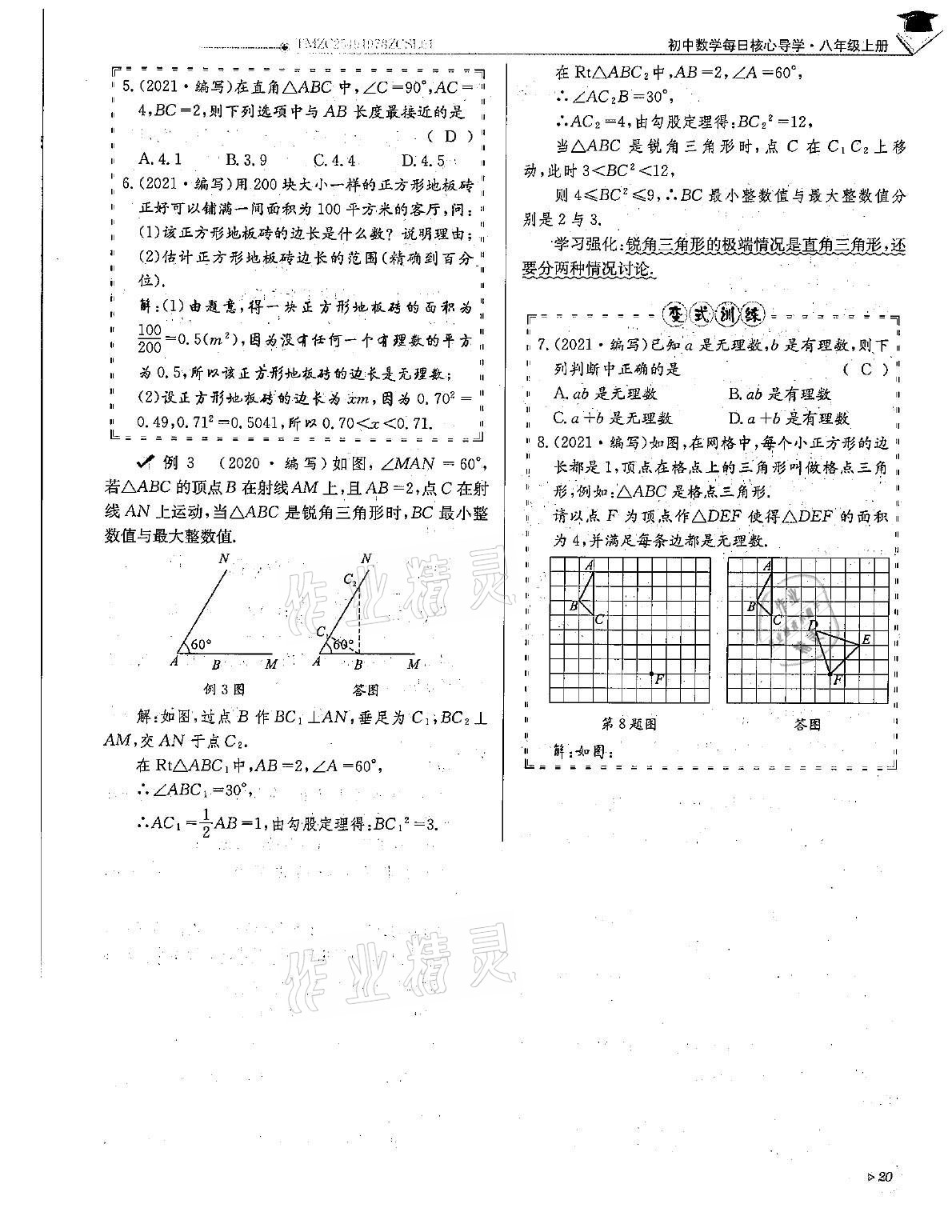 2021年初中数学每日核心导学八年级上册北师大版 第20页