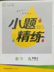 2021年通城學典小題精練九年級數(shù)學上冊人教版