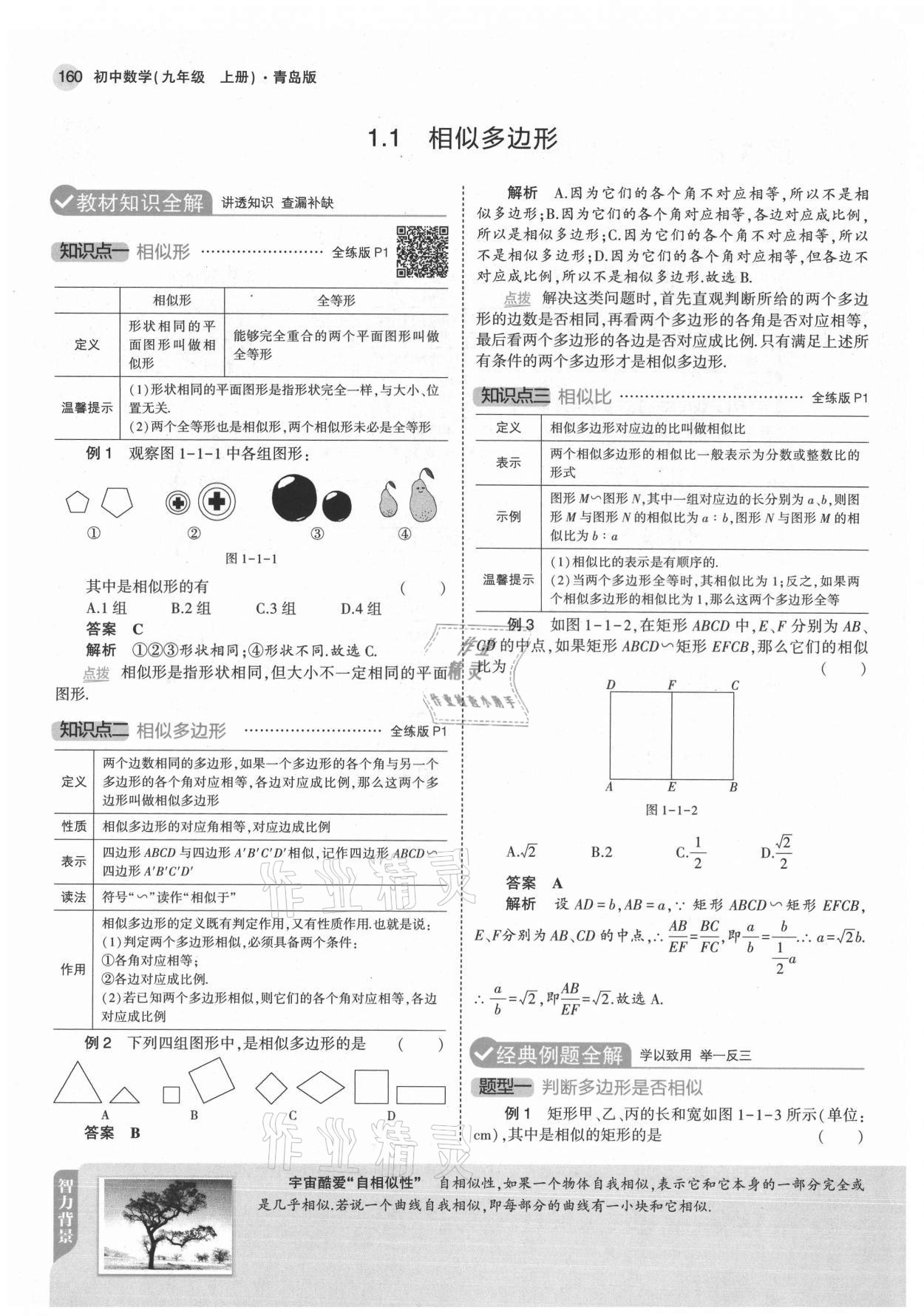 2021年教材课本九年级数学上册青岛版 参考答案第2页