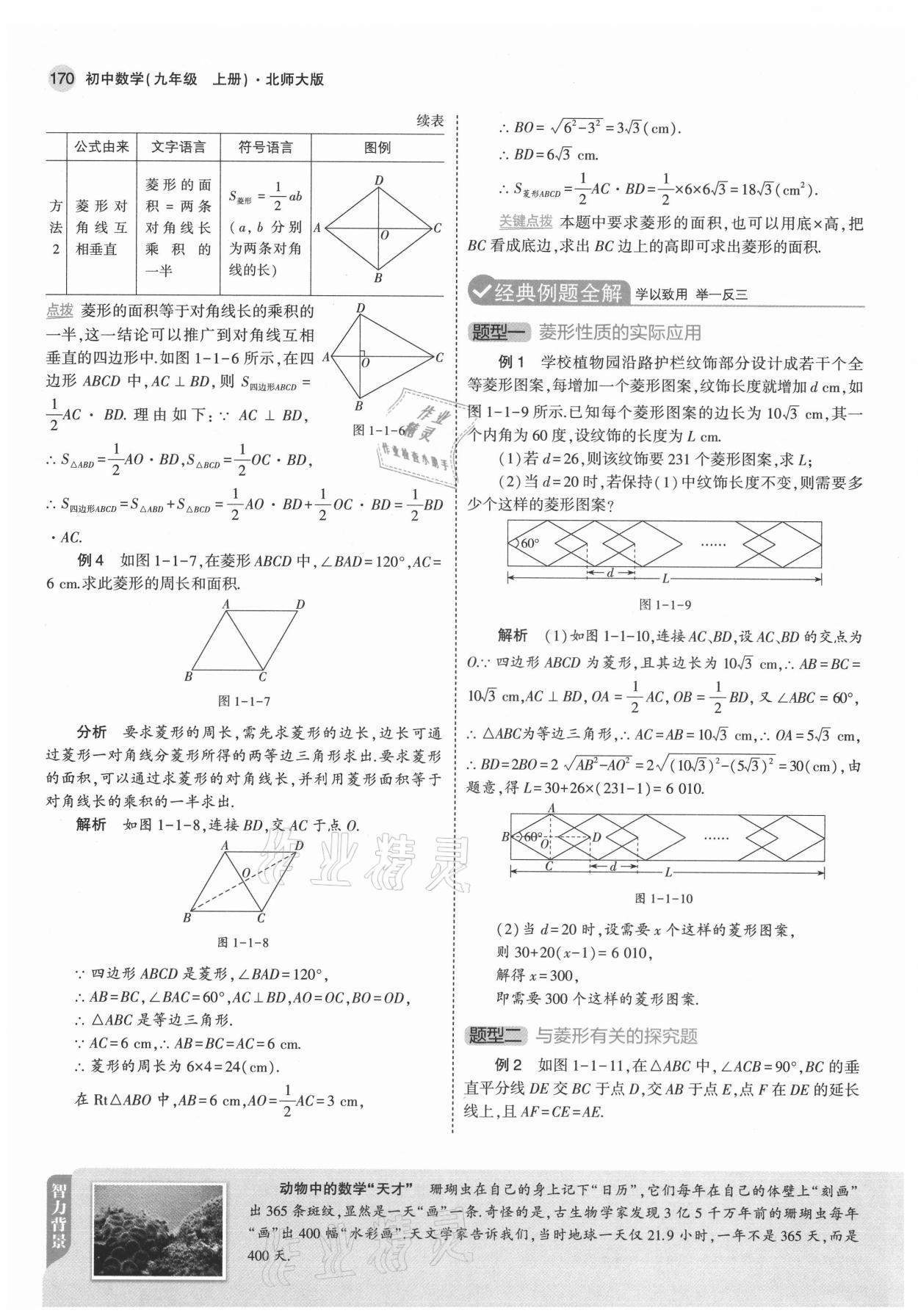 2021年教材課本九年級數(shù)學上冊北師大版 參考答案第4頁