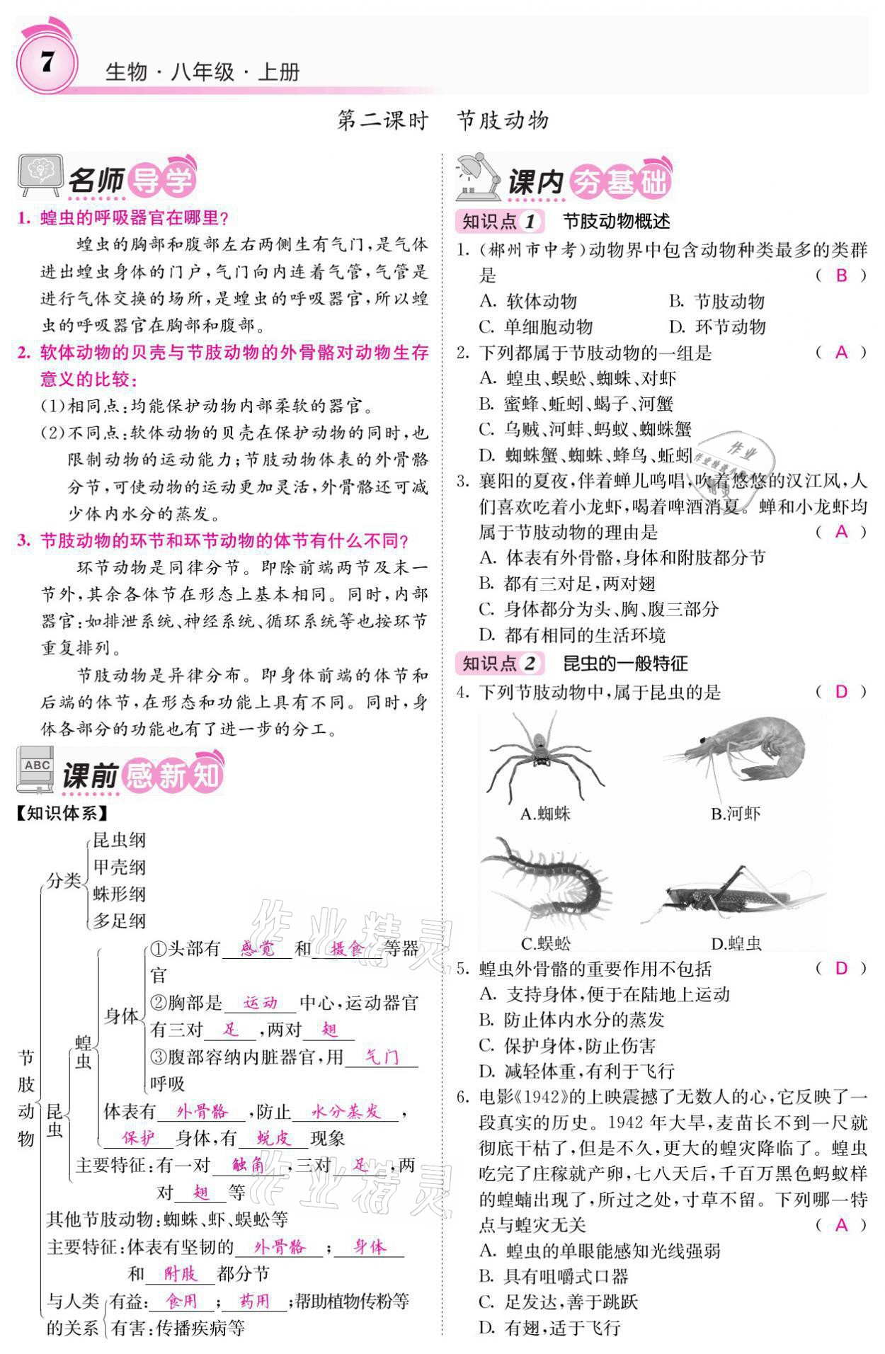 2021年名校课堂内外八年级生物上册人教版 参考答案第16页