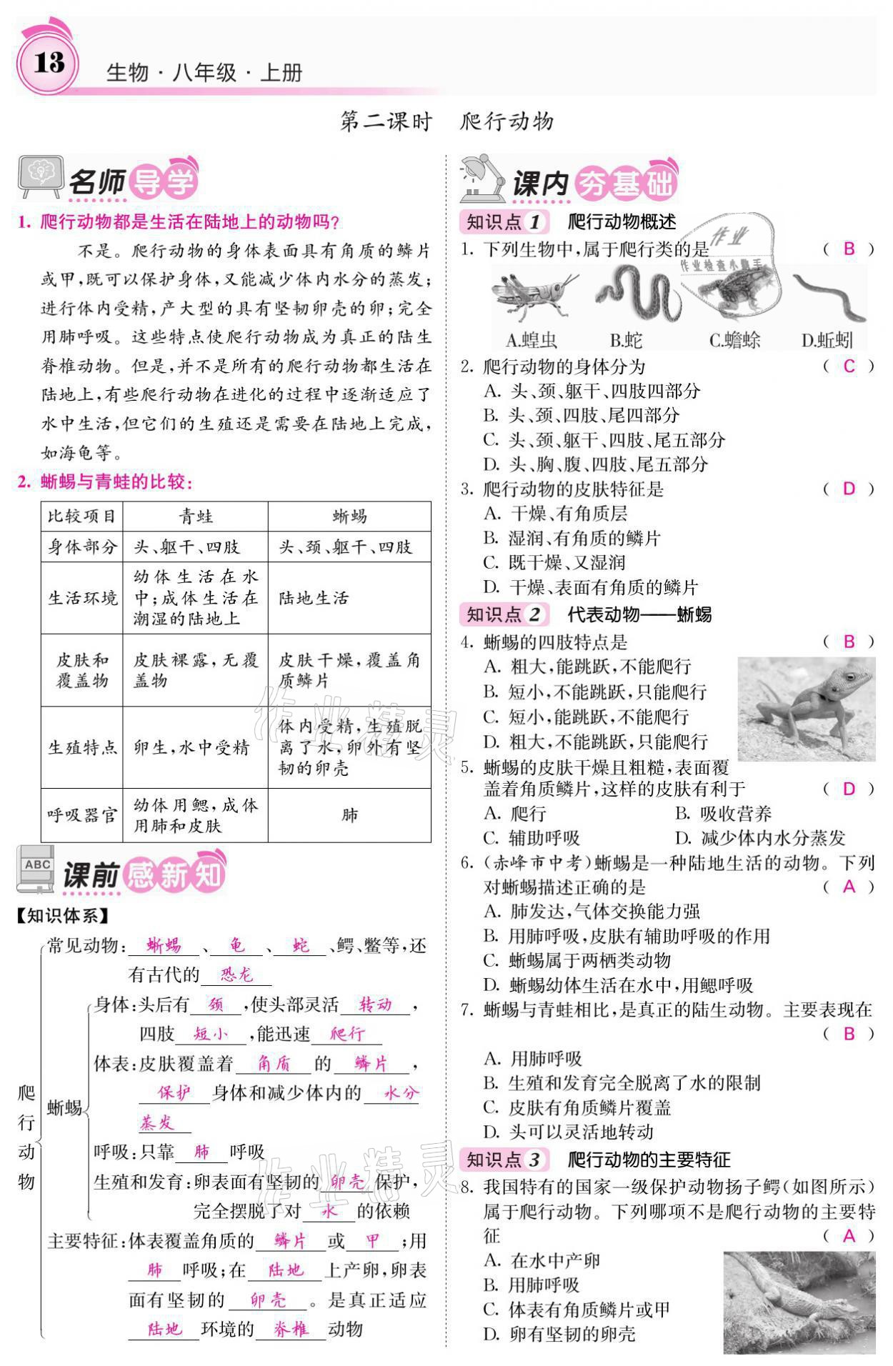 2021年名校課堂內(nèi)外八年級(jí)生物上冊(cè)人教版 參考答案第28頁(yè)