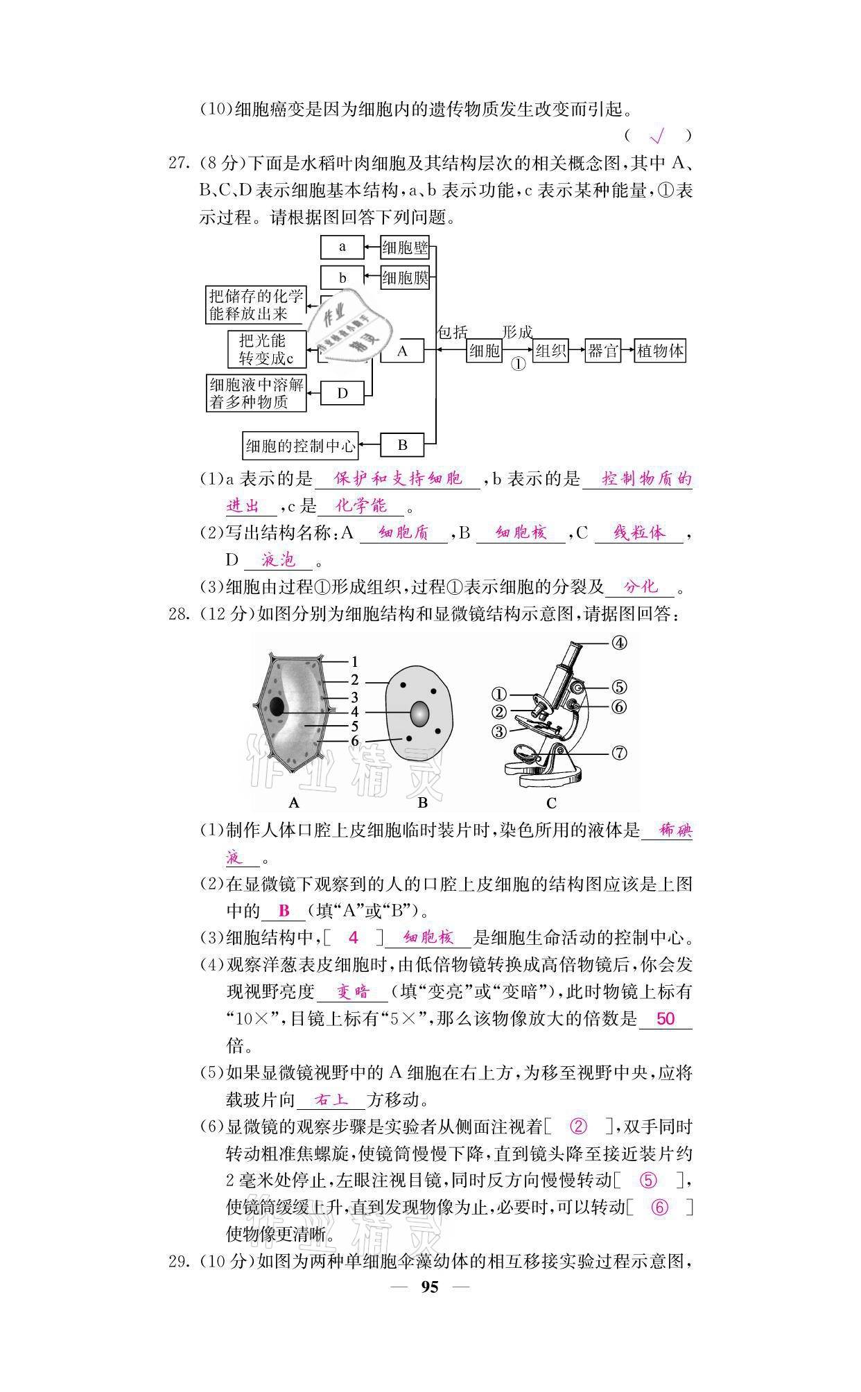 2021年名校課堂內(nèi)外七年級(jí)生物上冊(cè)人教版 參考答案第11頁(yè)