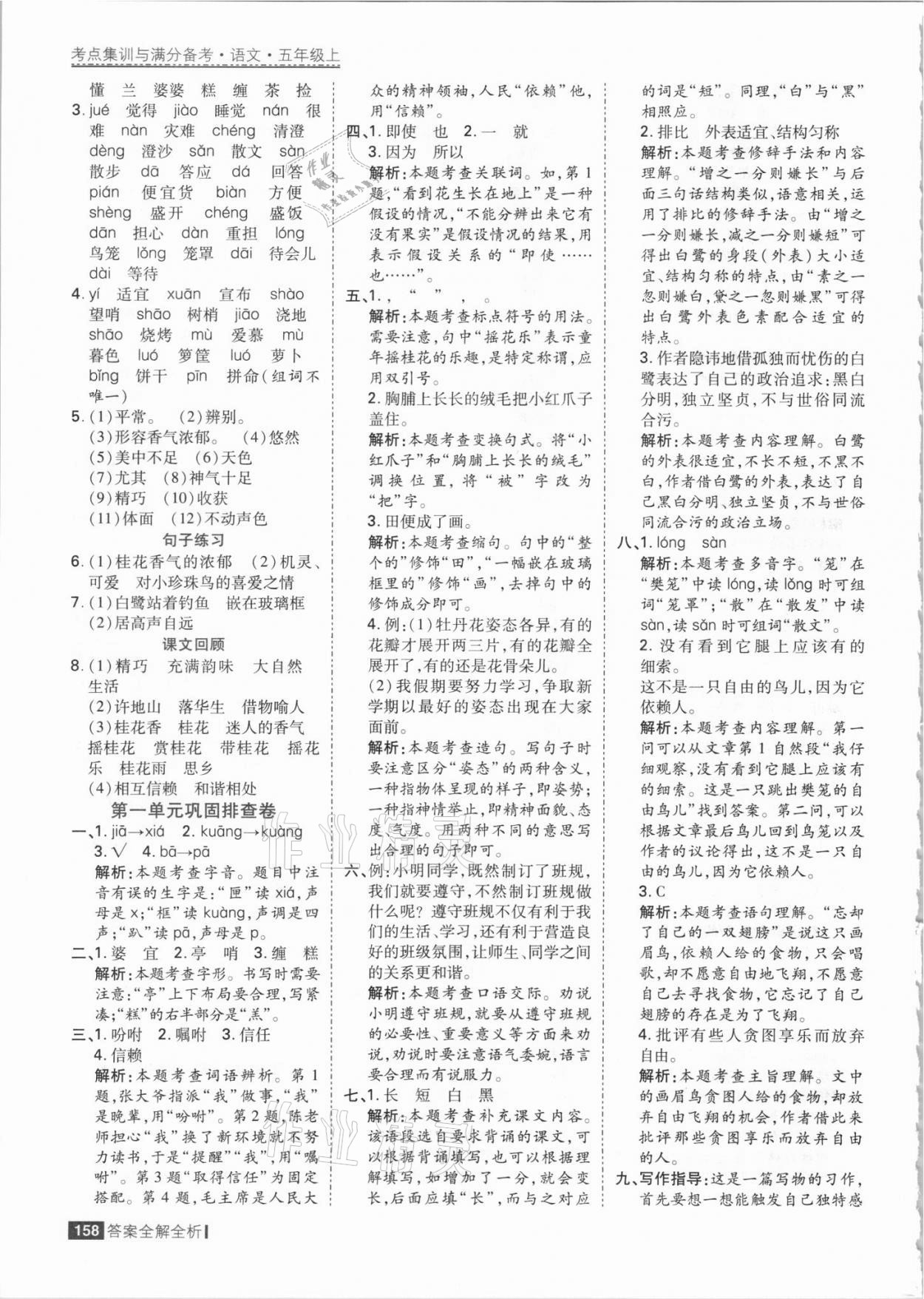 2021年考點集訓與滿分備考五年級語文上冊人教版 參考答案第6頁