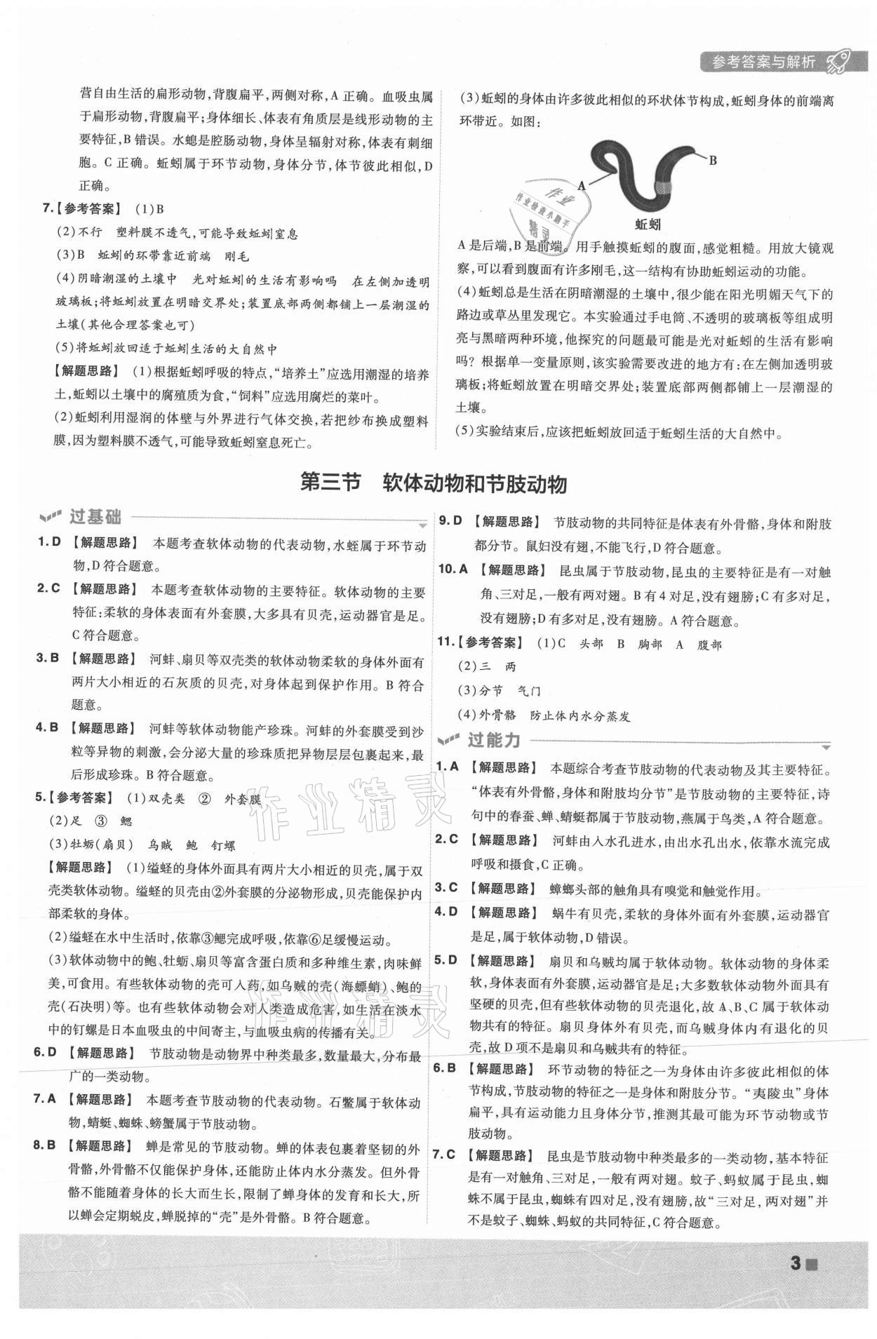 2021年一遍過八年級生物上冊人教版 第3頁