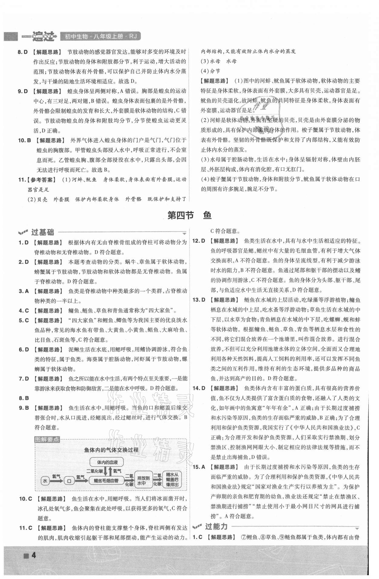 2021年一遍过八年级生物上册人教版 第4页