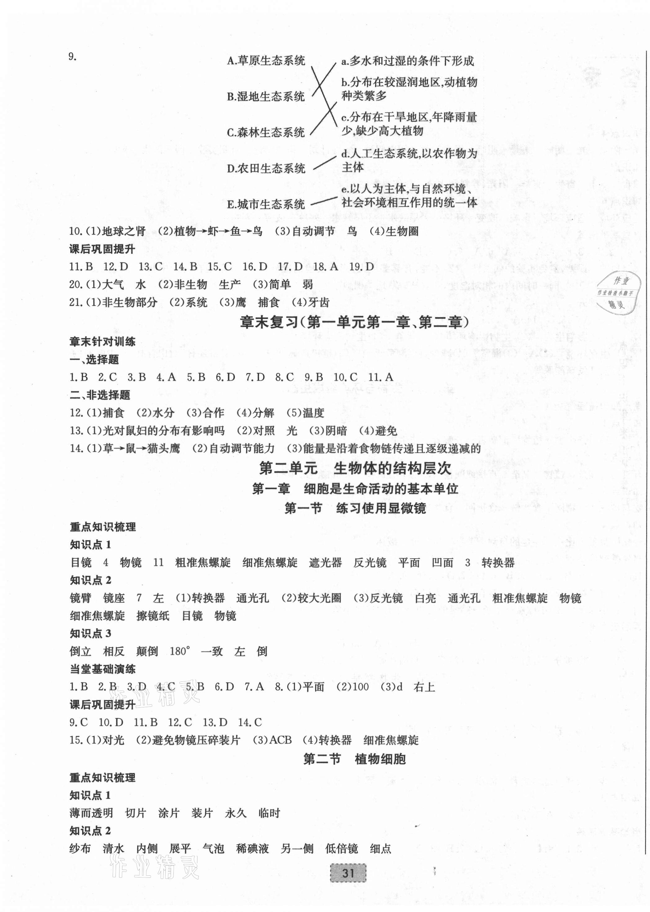 2021年練重點(diǎn)七年級生物上冊人教版河南專版 第3頁