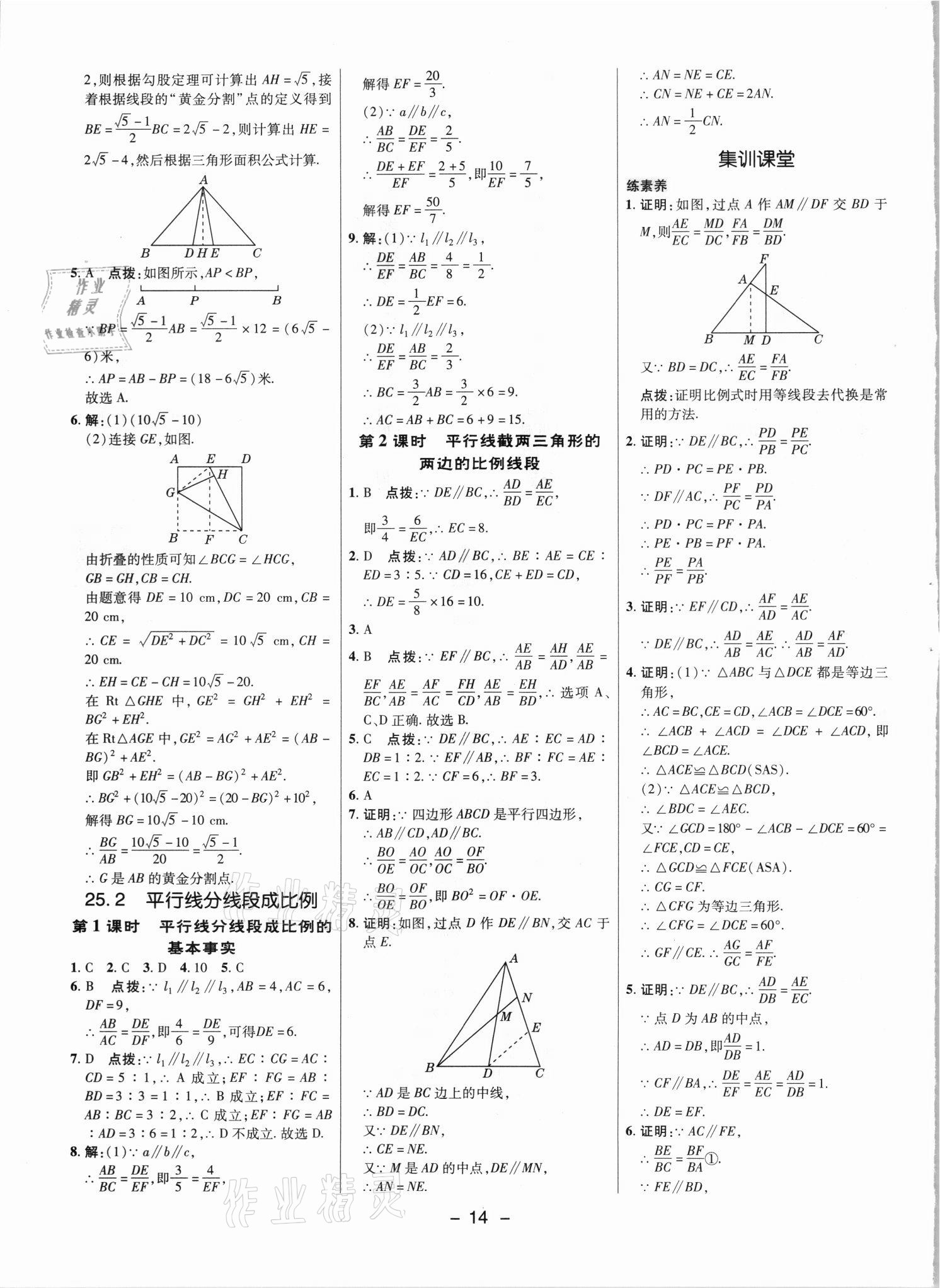 2021年綜合應(yīng)用創(chuàng)新題典中點(diǎn)九年級(jí)數(shù)學(xué)上冊(cè)冀教版 參考答案第13頁(yè)