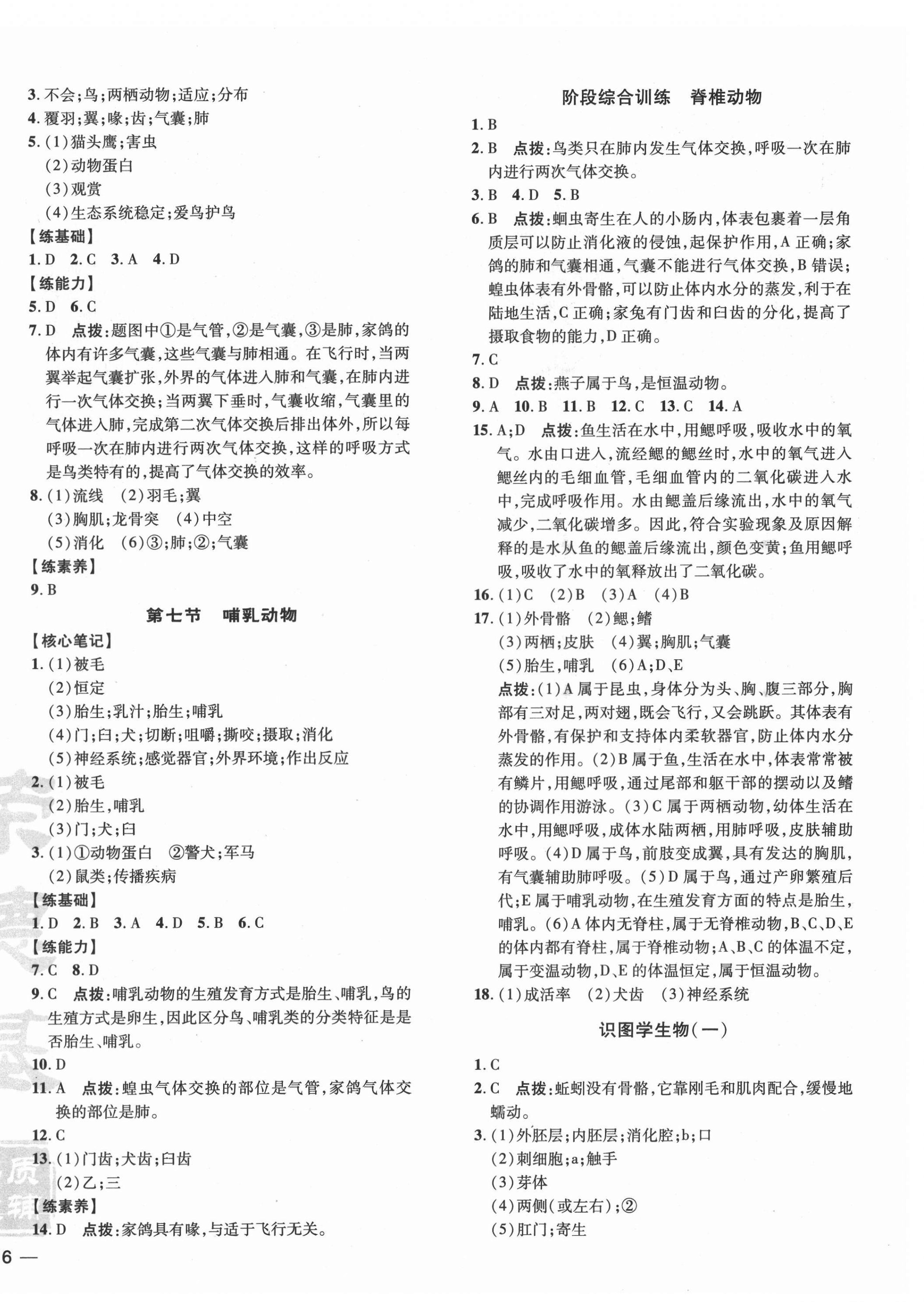 2021年點(diǎn)撥訓(xùn)練八年級(jí)生物上冊人教版 參考答案第4頁