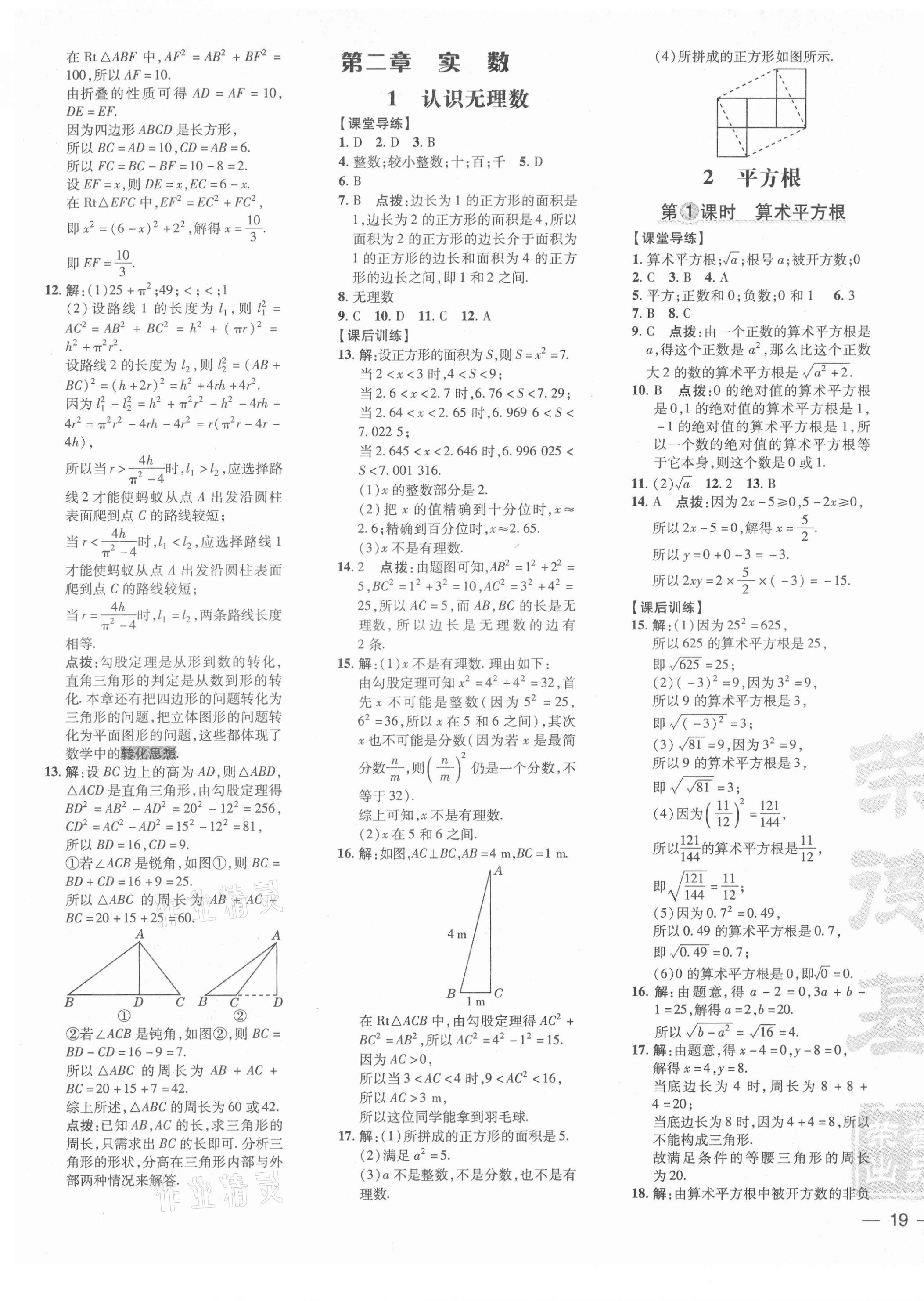 2021年點(diǎn)撥訓(xùn)練八年級(jí)數(shù)學(xué)上冊北師大版 參考答案第5頁