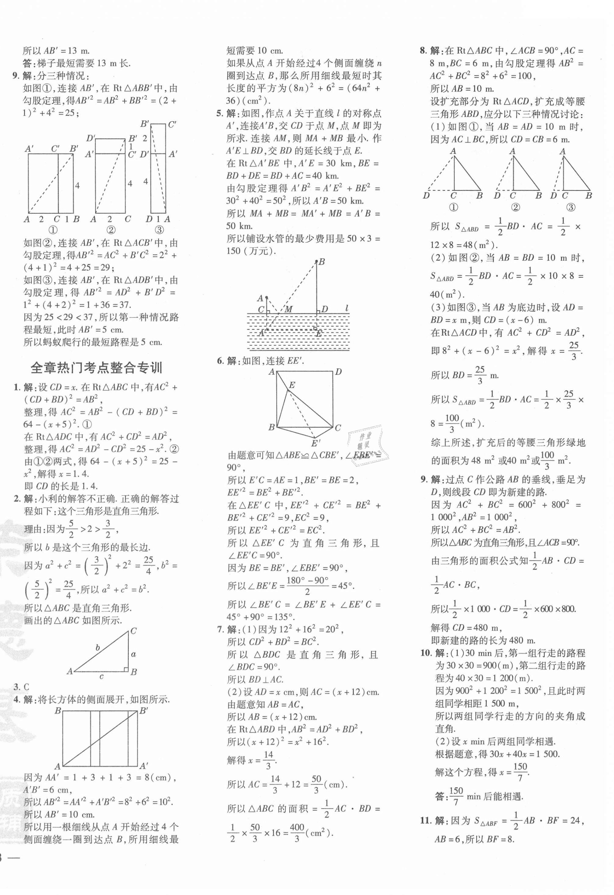 2021年点拨训练八年级数学上册北师大版 参考答案第4页