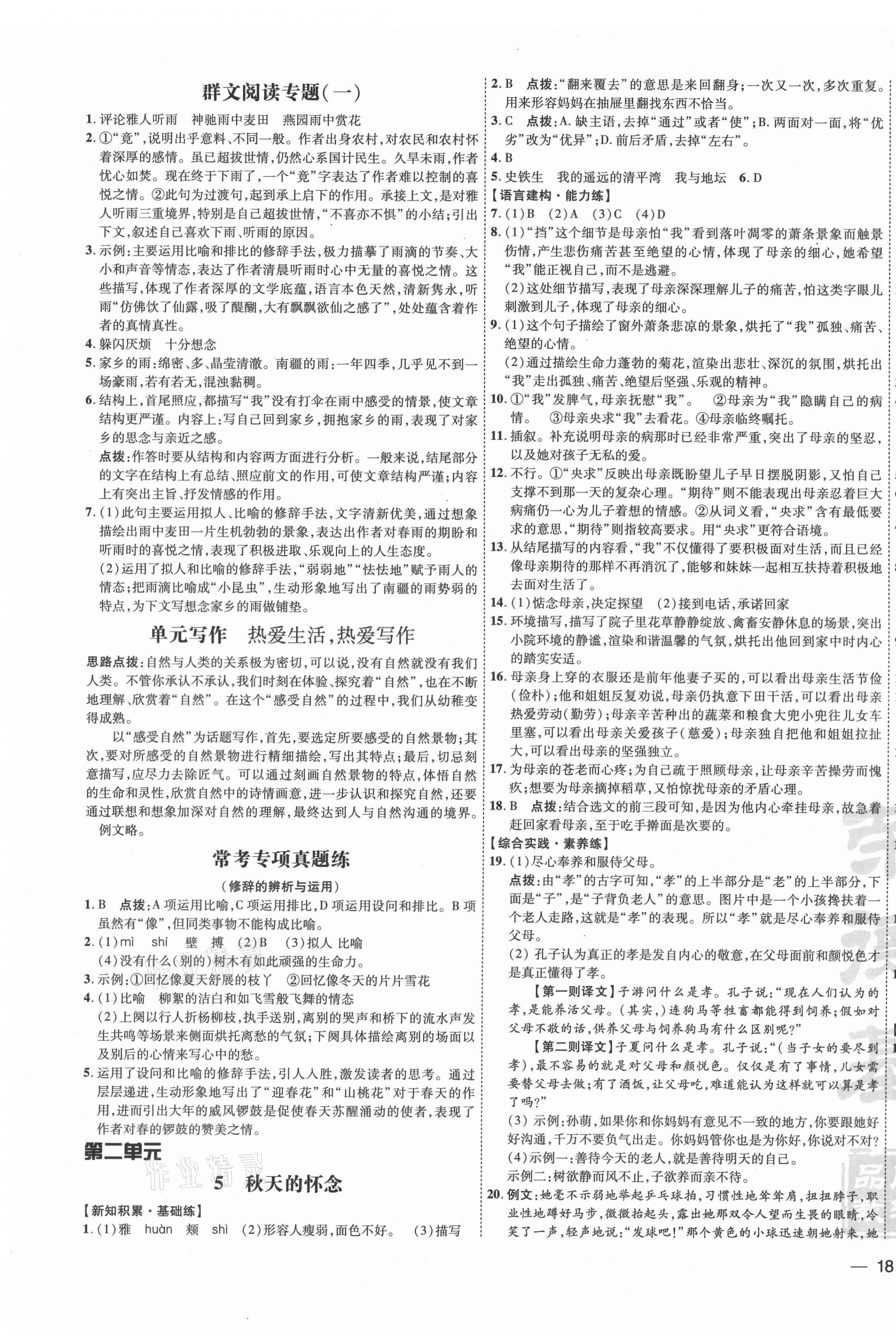 2021年點撥訓練七年級語文上冊人教版 參考答案第3頁