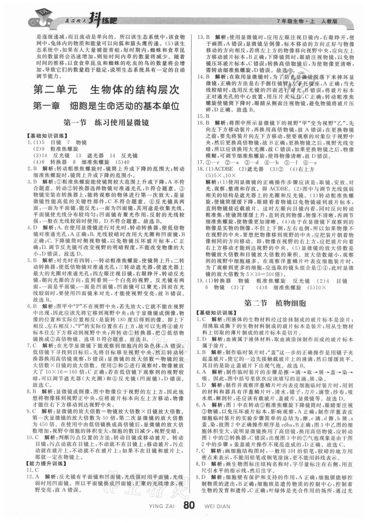 2021年抖練吧七年級(jí)生物上冊(cè)人教版 第6頁