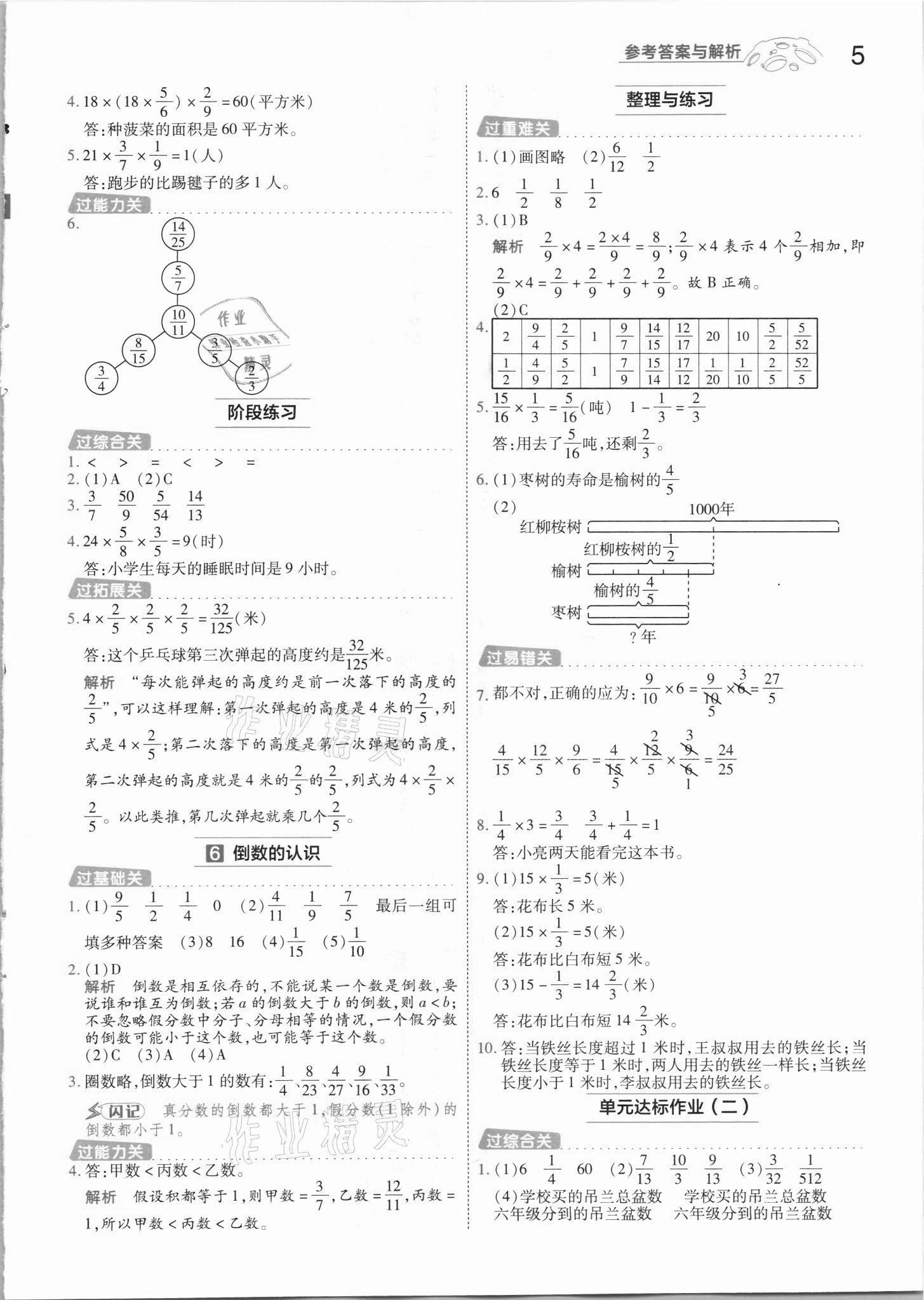 2021年一遍過六年級數(shù)學上冊蘇教版 第5頁