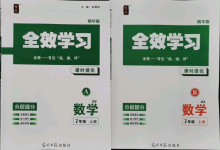 2021年全效學習七年級數(shù)學上冊浙教版精華版