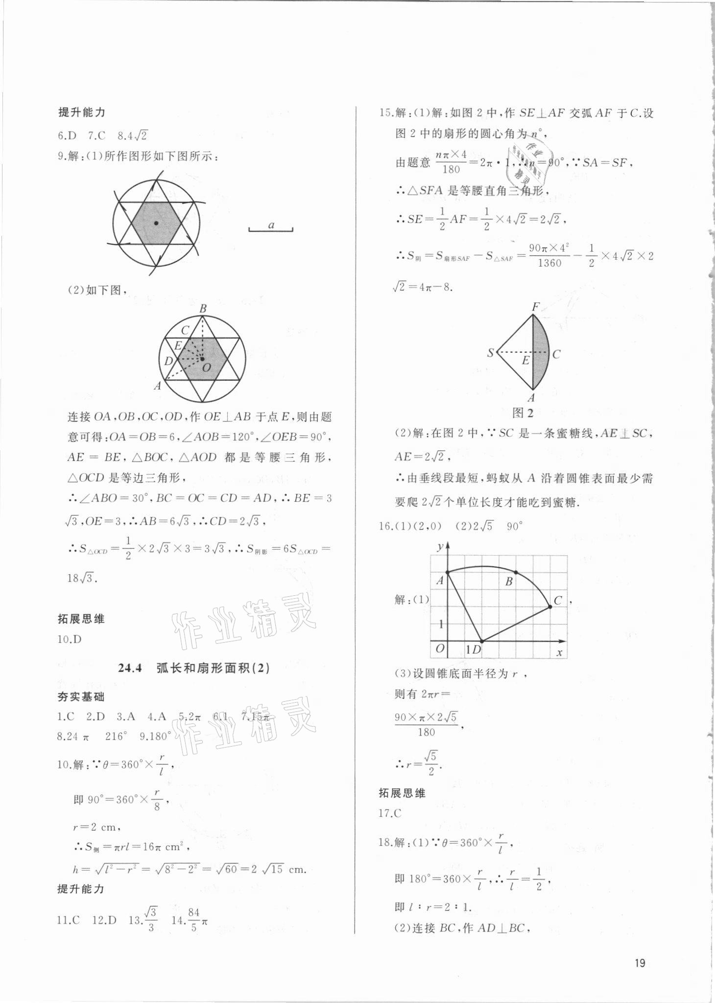 2021年新攻略課時高效訓練九年級數(shù)學全一冊人教版 參考答案第19頁