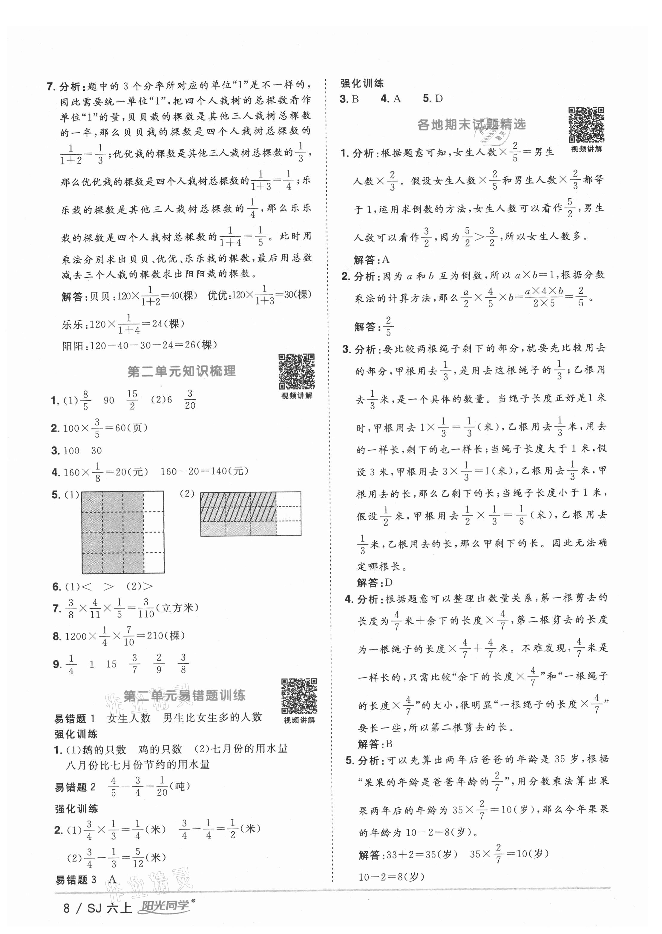 2021年阳光同学课时优化作业六年级数学上册苏教版淮宿连专版 参考答案第8页