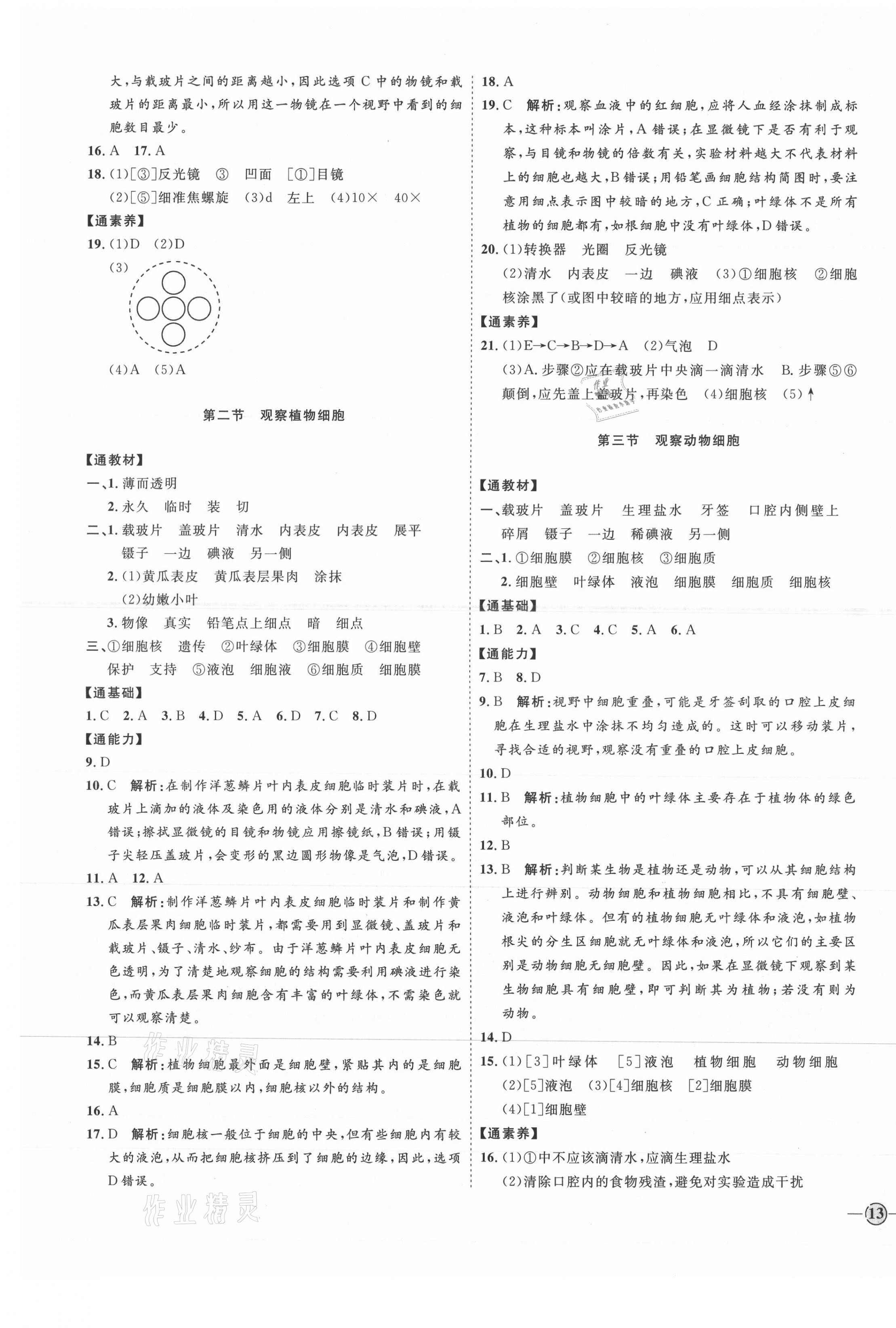 2021年優(yōu)加學(xué)案課時通六年級生物上冊魯科版54制 參考答案第5頁