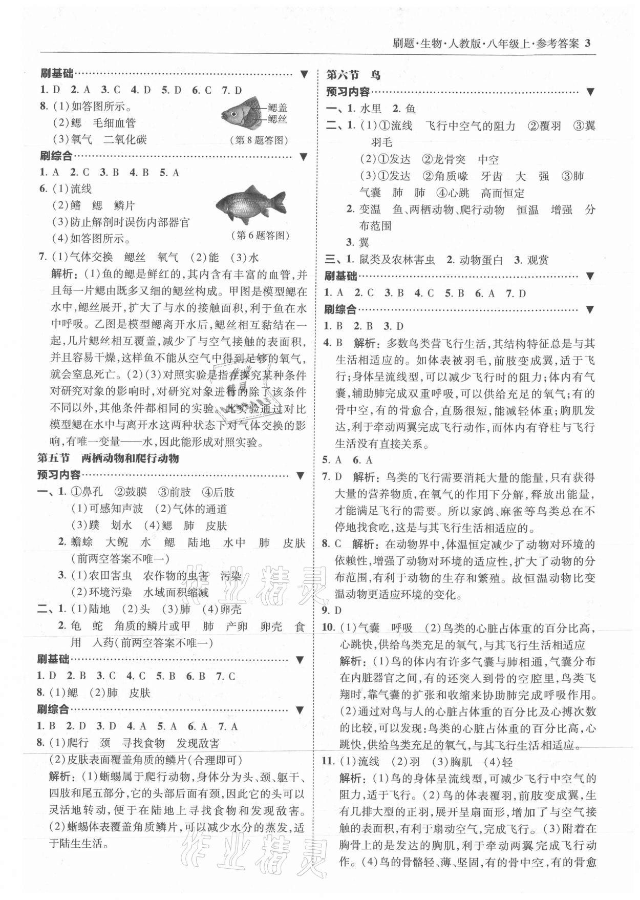 2021年北大綠卡刷題八年級(jí)生物上冊(cè)人教版 參考答案第3頁