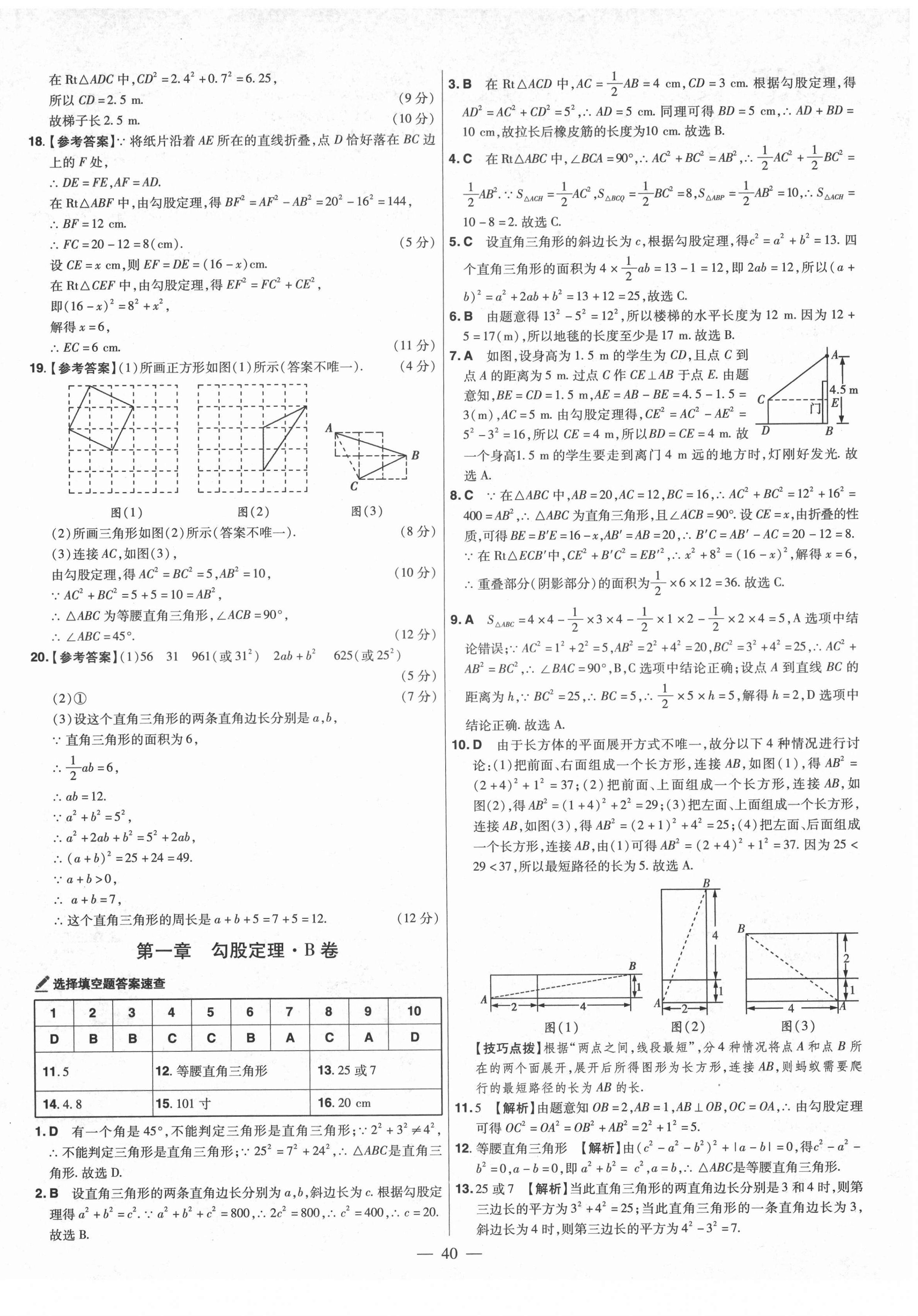 2021年金考卷活页题选八年级数学上册北师大版 参考答案第2页