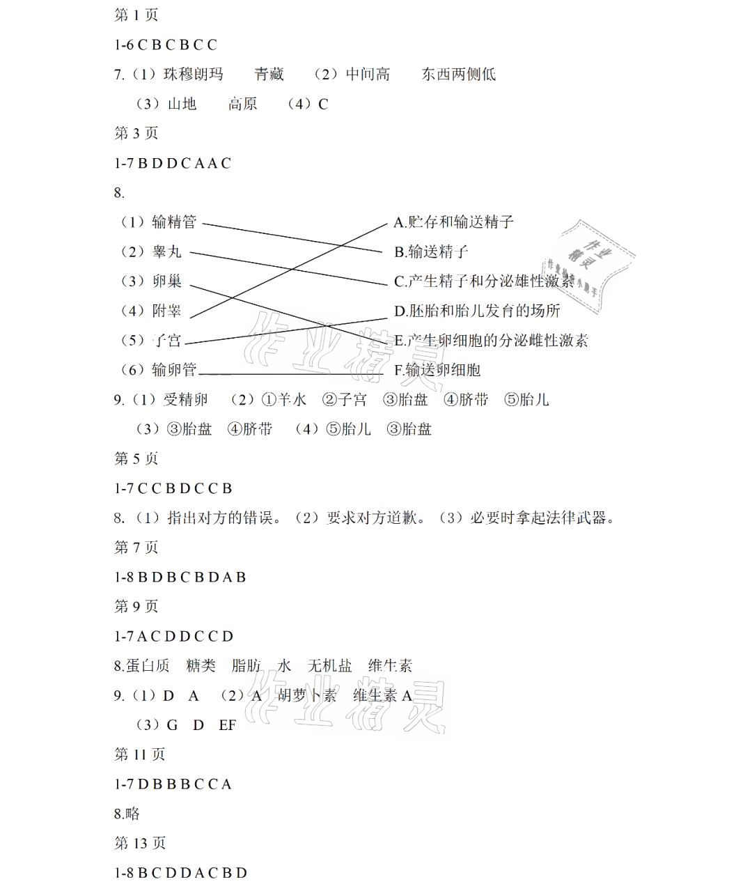 2021年暑假Happy假日六年級綜合五四制 參考答案第1頁