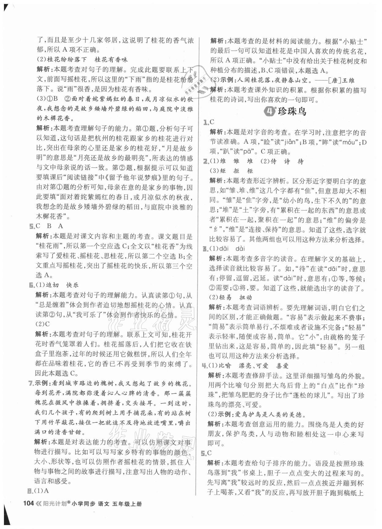 2021年陽光計劃小學(xué)同步五年級語文上冊人教版 第4頁