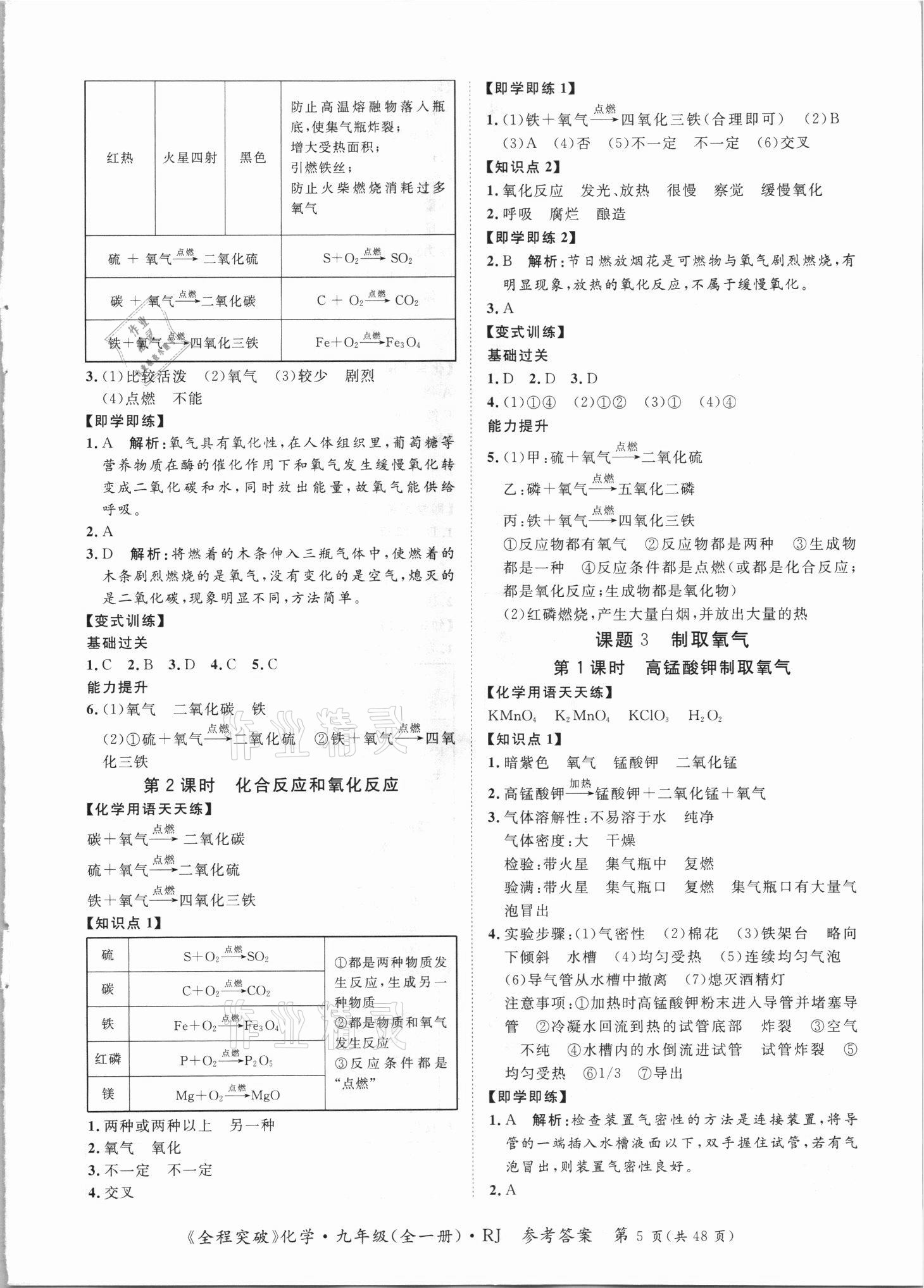 2021年全程突破九年級化學(xué)全一冊人教版 第5頁