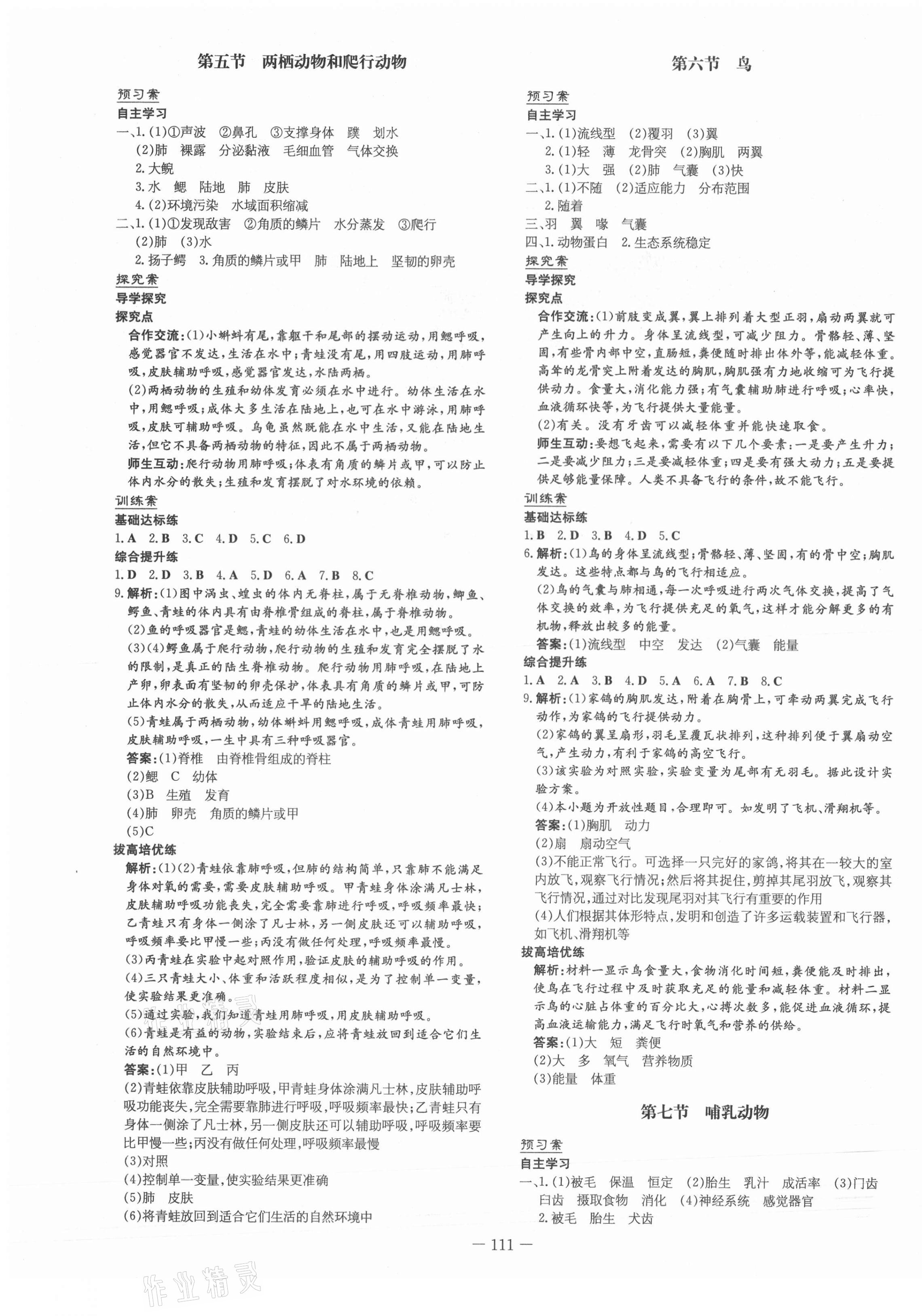 2021年初中同步学习导与练导学探究案八年级生物上册人教版 第3页