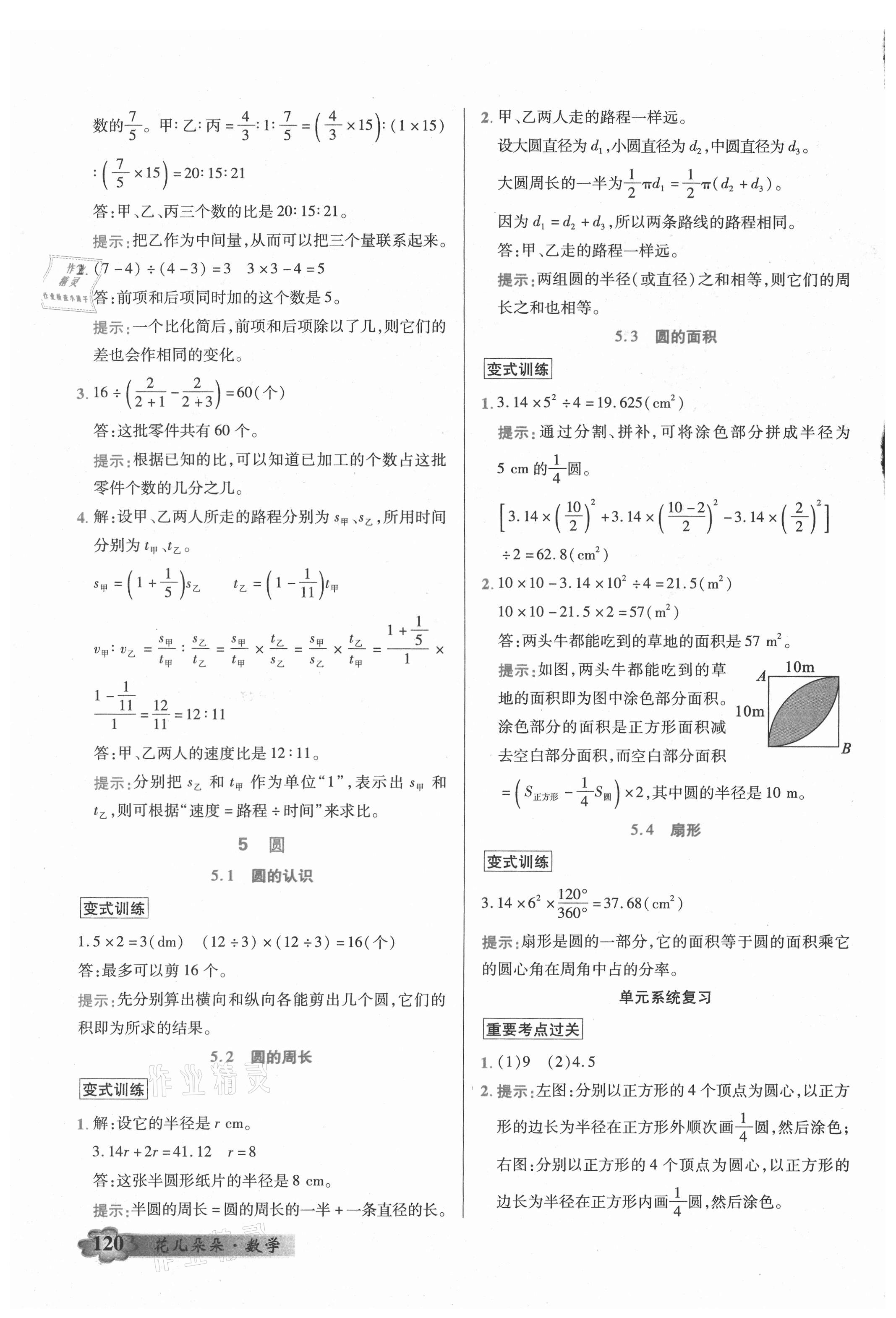 2021年英才教程花兒朵朵六年級數(shù)學(xué)上冊人教版 參考答案第7頁