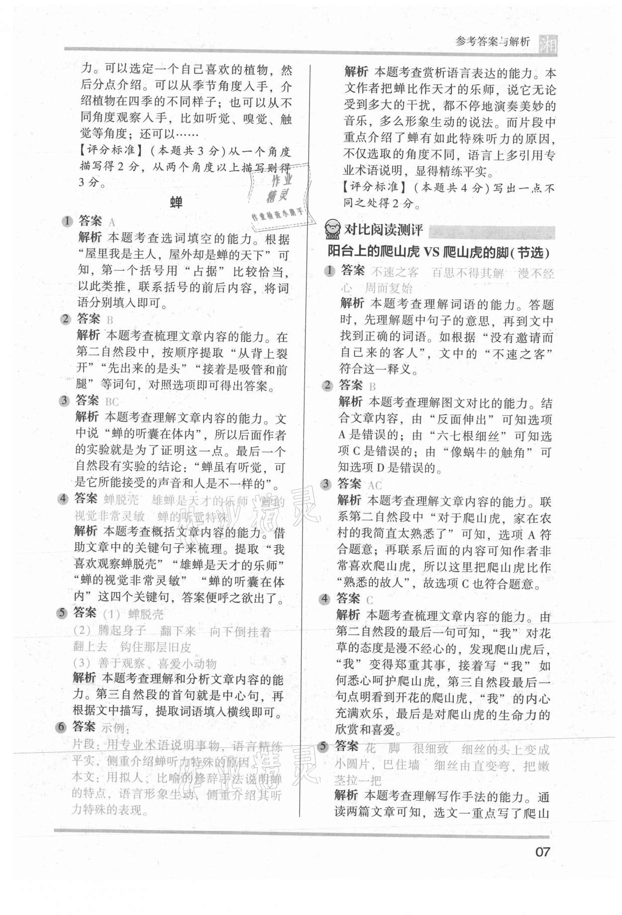 2022年木頭馬閱讀力測評四年級語文人教版A版湖南專版 參考答案第7頁