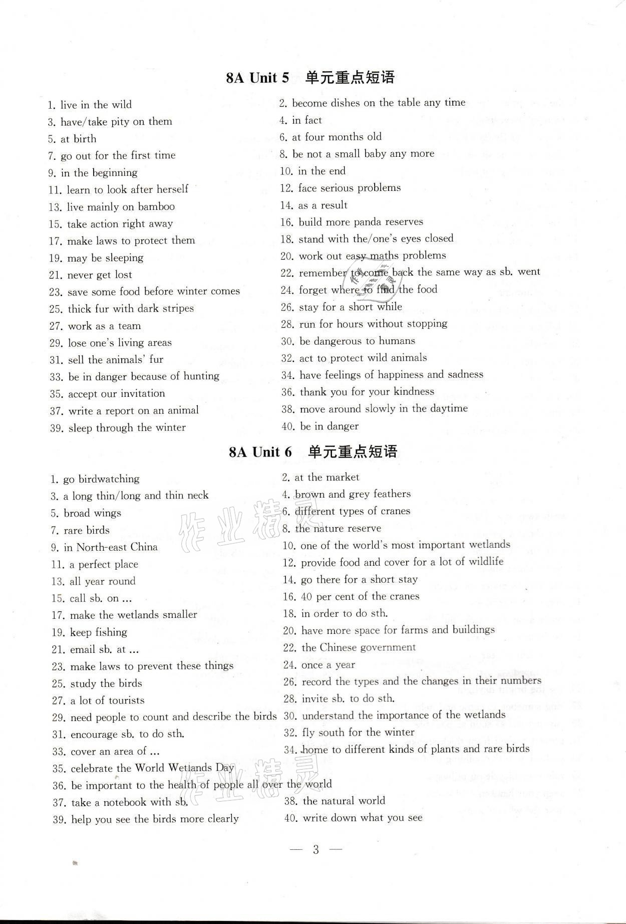 2021年創(chuàng)新優(yōu)化學(xué)案八年級(jí)英語(yǔ)上冊(cè)江蘇版 參考答案第3頁(yè)