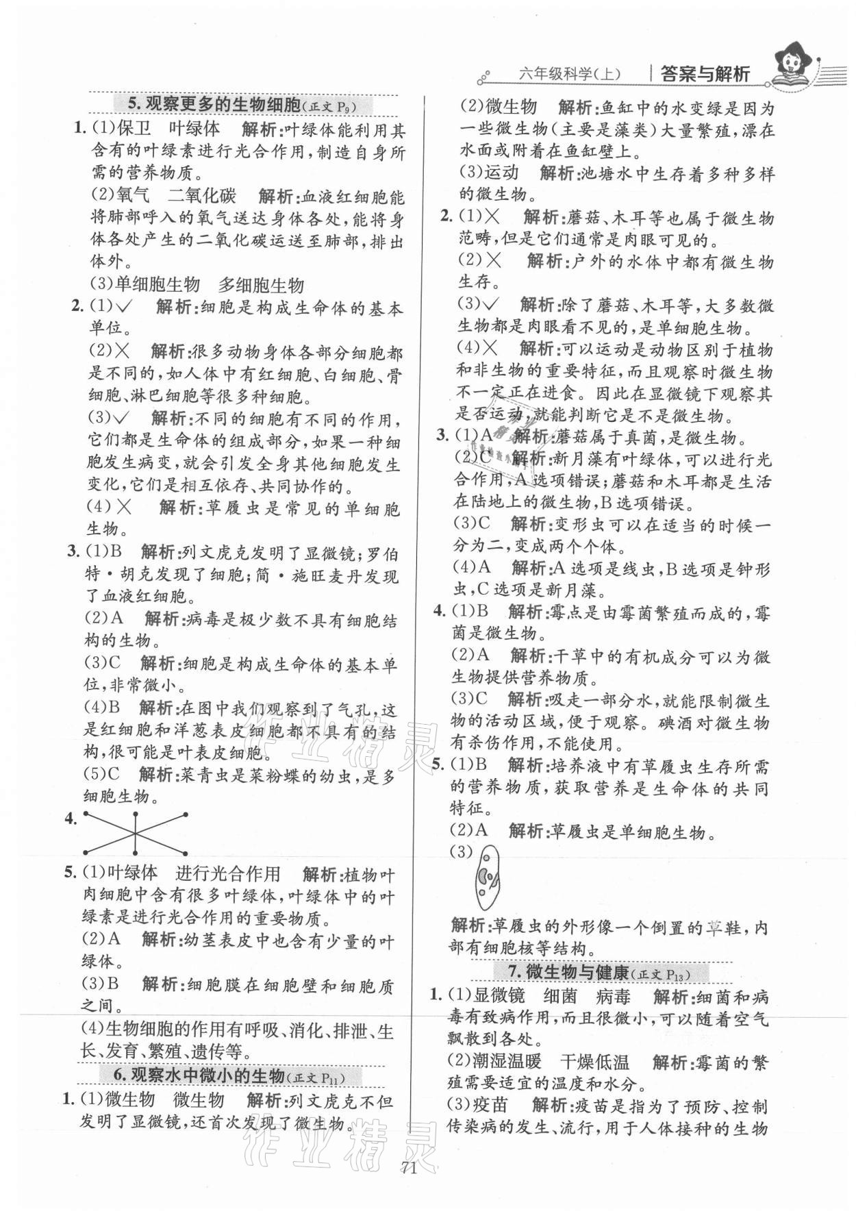 2021年教材全練六年級科學(xué)上冊教科版 參考答案第3頁