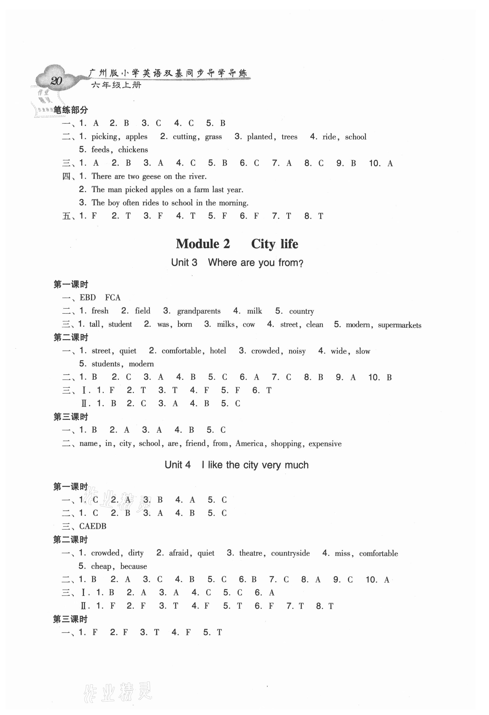 2021年双基同步导学导练六年级英语上册教科版广州专版 第2页