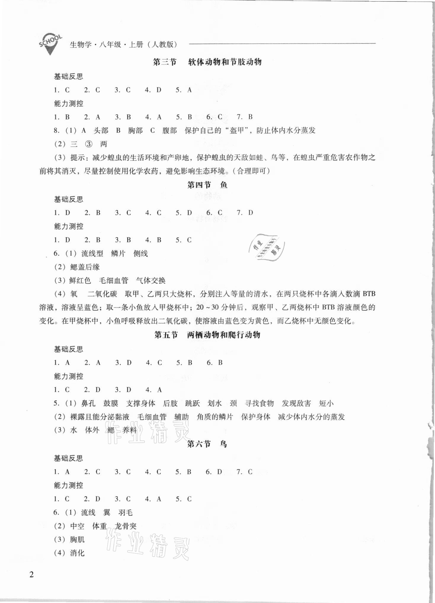 2021年新课程问题解决导学方案八年级生物上册人教版 参考答案第2页